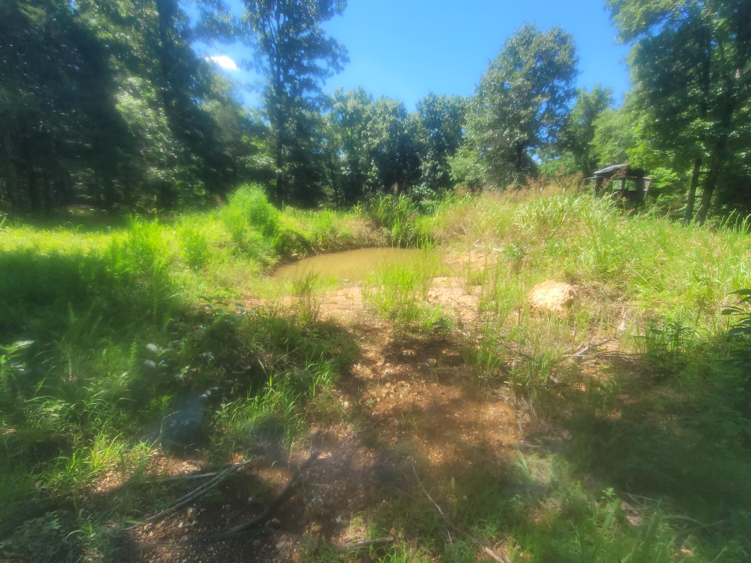2017 County Road 342 Property Photo 33