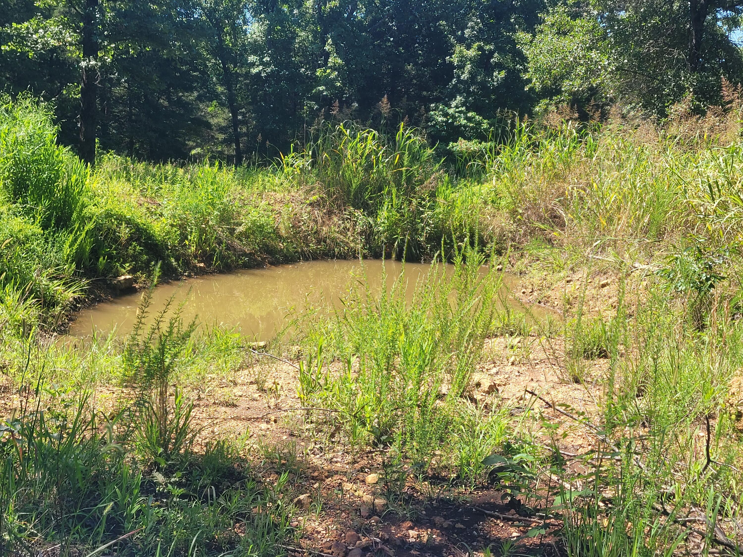 2017 County Road 342 Property Photo 34
