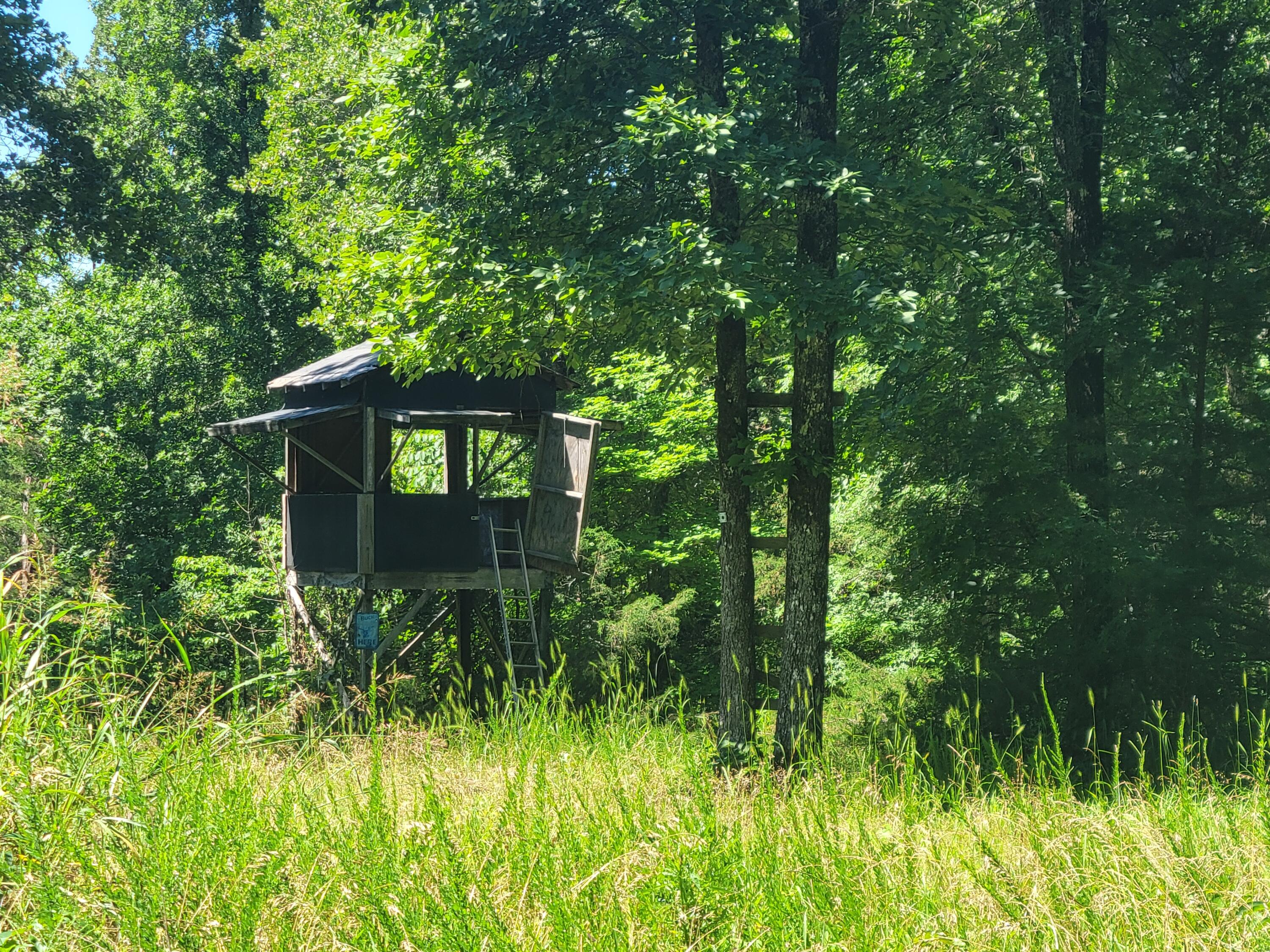 2017 County Road 342 Property Photo 35