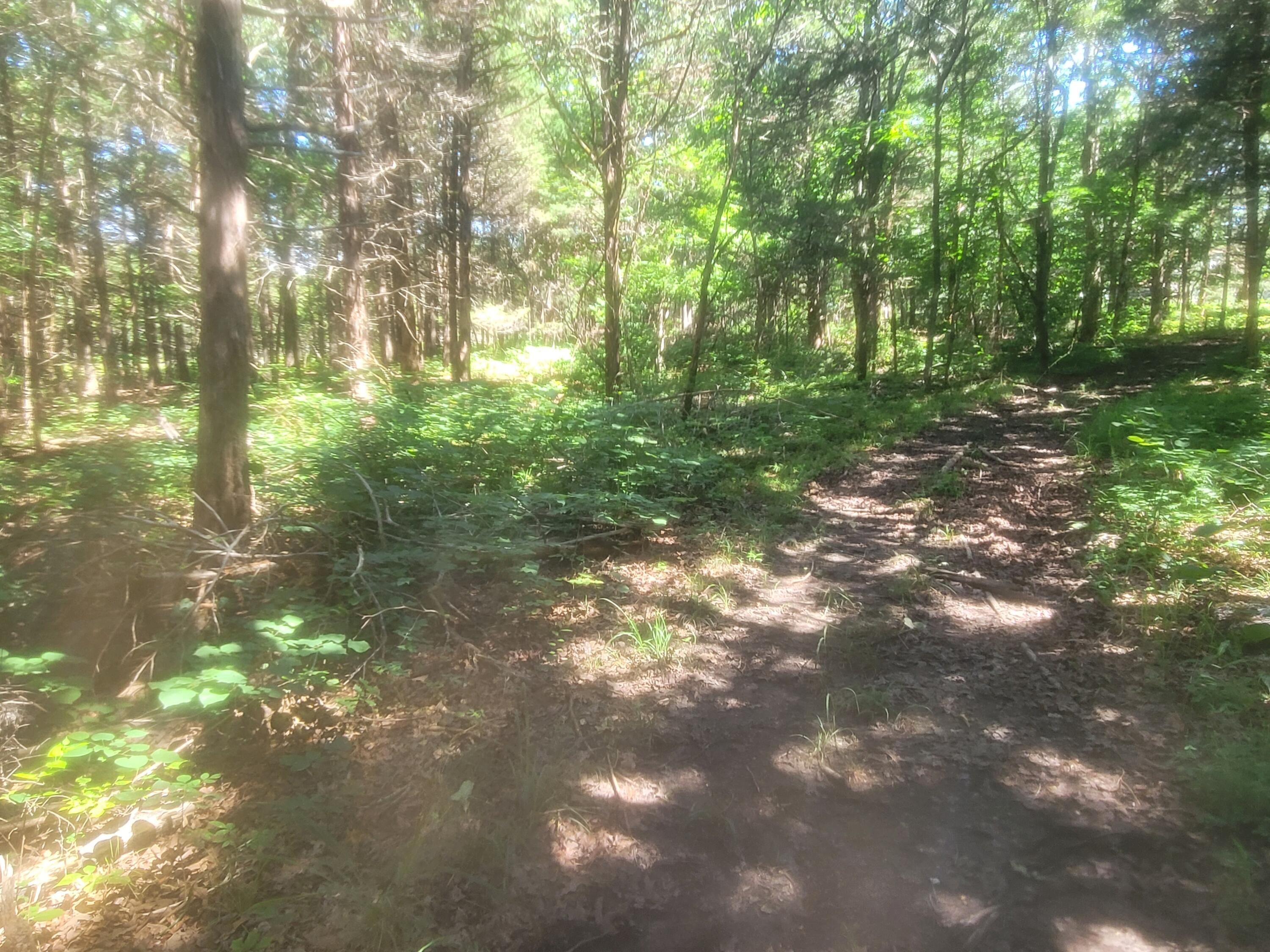 2017 County Road 342 Property Photo 37