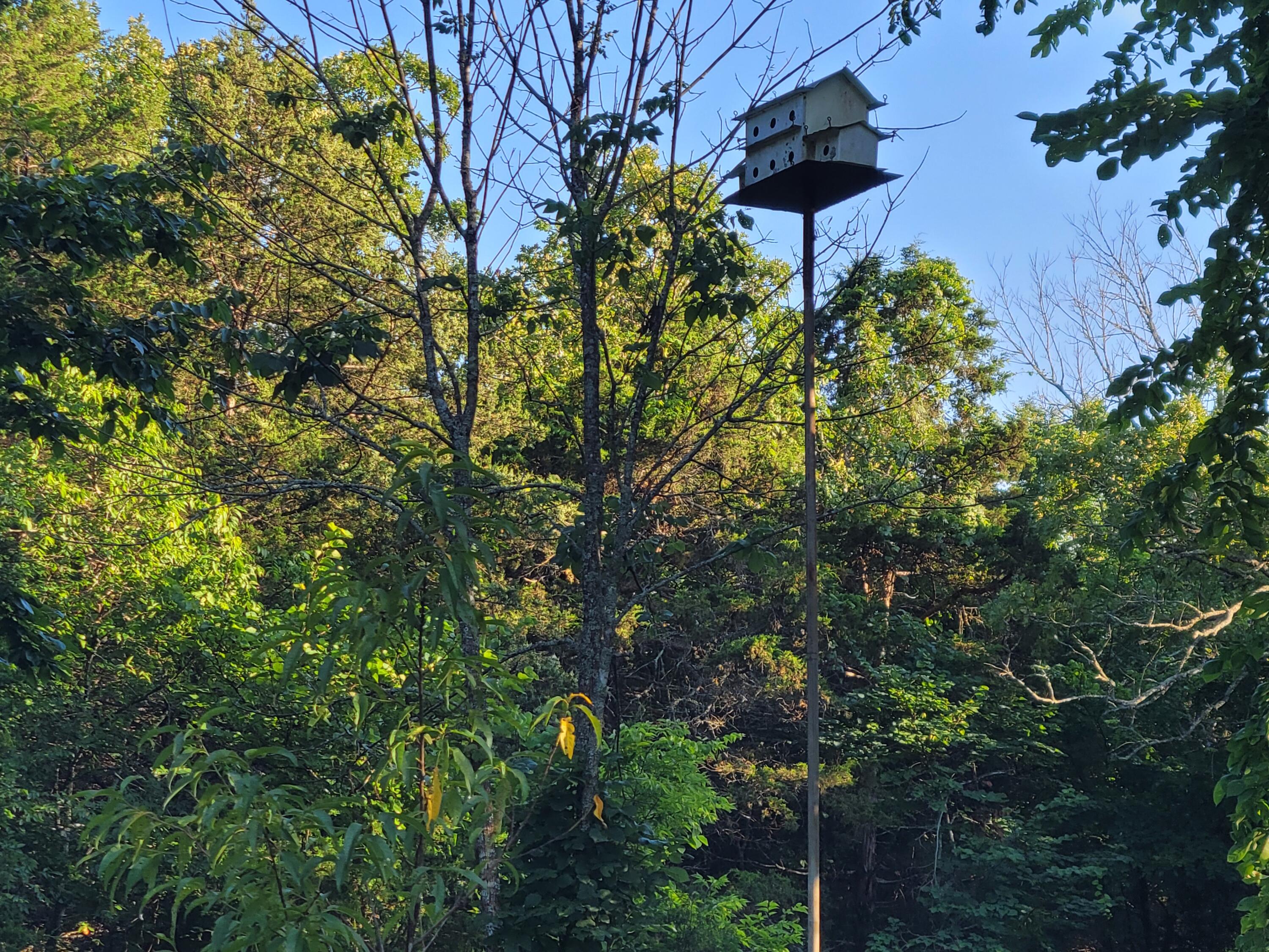 2017 County Road 342 Property Photo 41