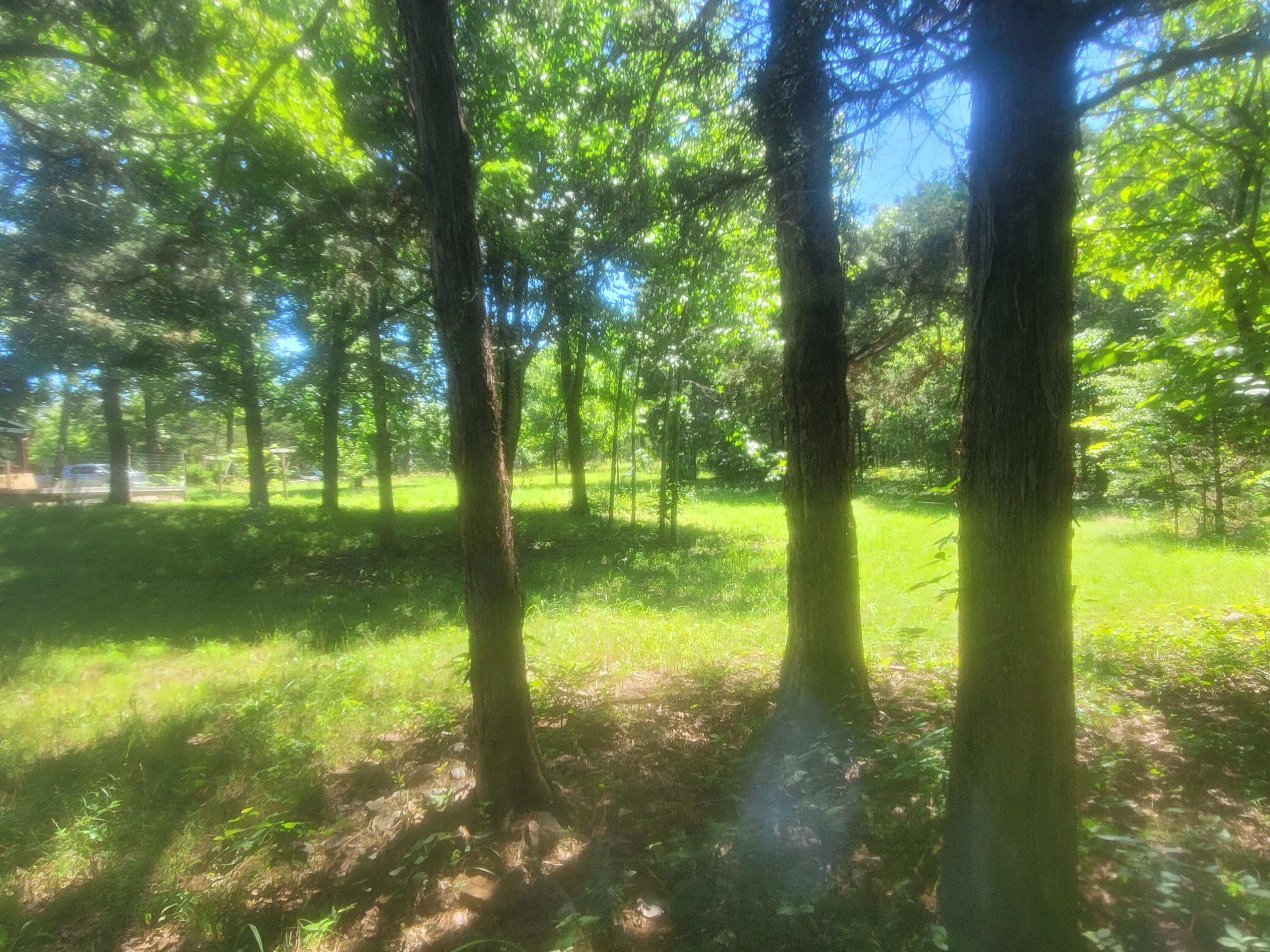 2017 County Road 342 Property Photo 42