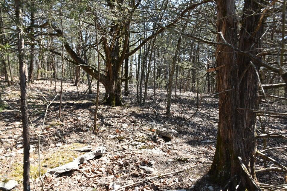 000 Burk Road Property Photo 2
