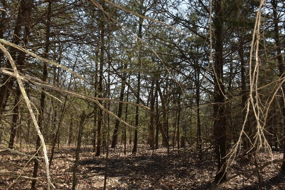 000 Burk Road Property Photo 3