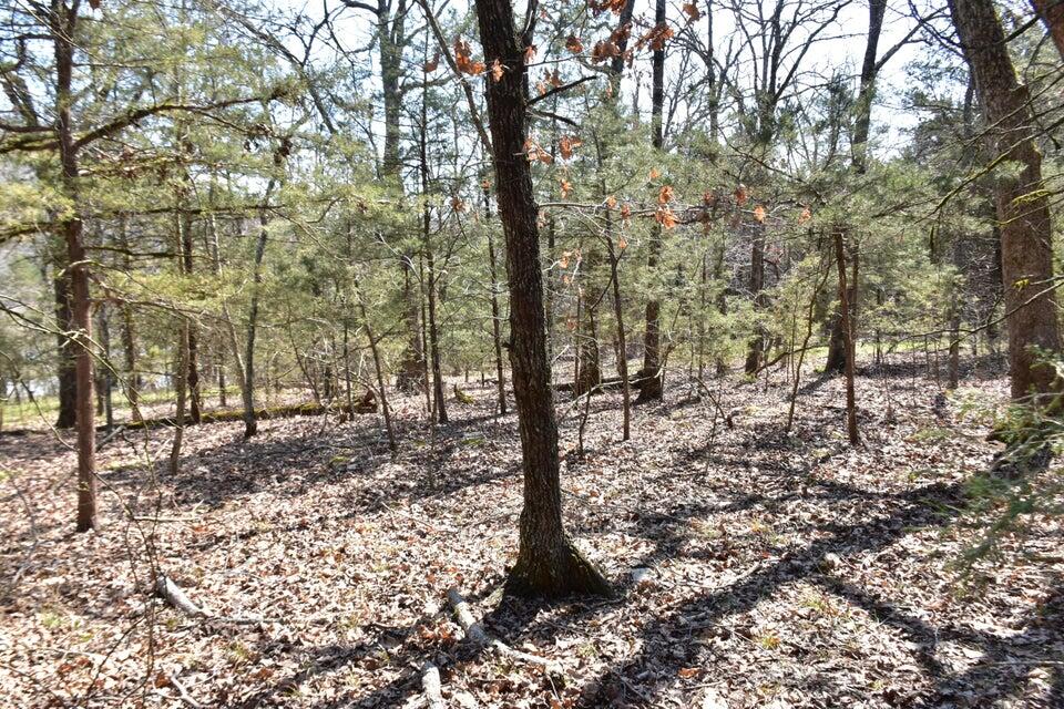 000 Burk Road Property Photo 4