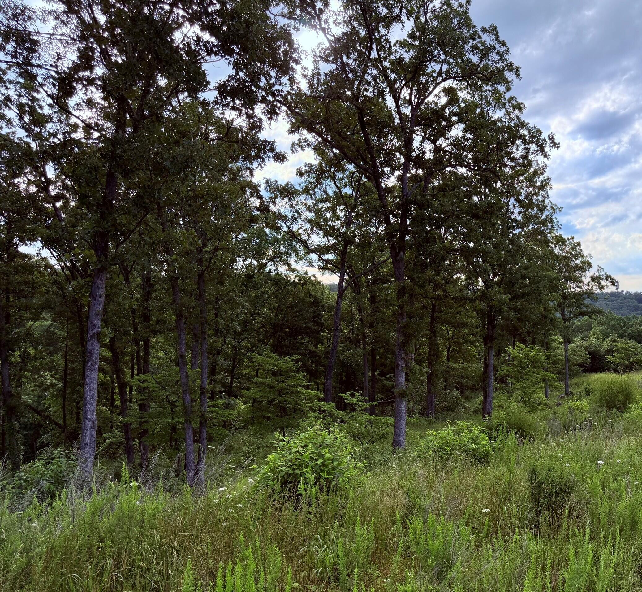182 Royal Dornoch Drive Property Photo 6