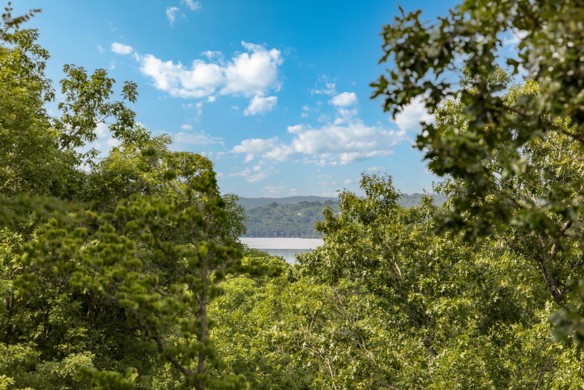 225 Cory's Trail Property Photo 59