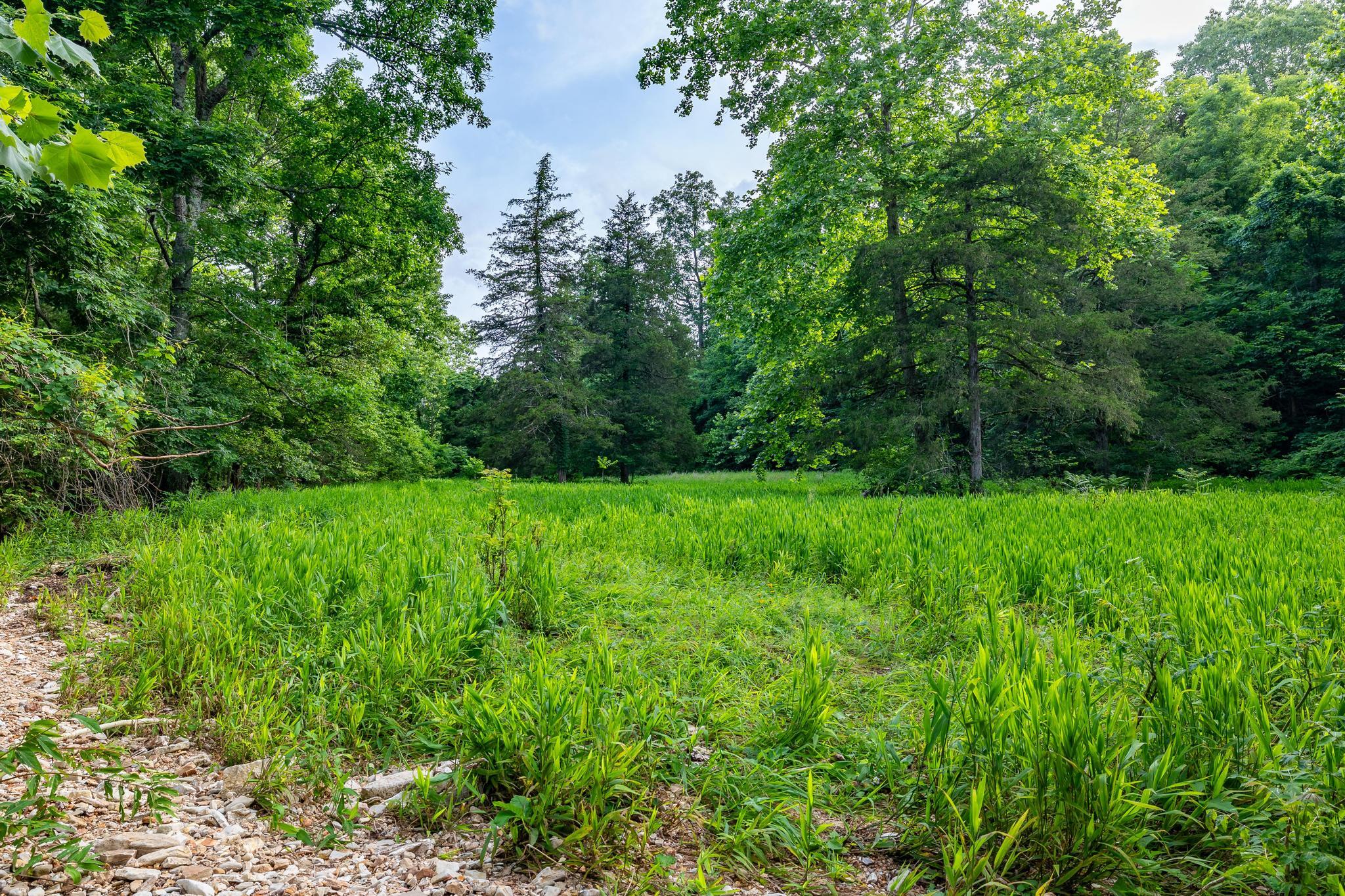 225 Cory's Trail Property Photo 74