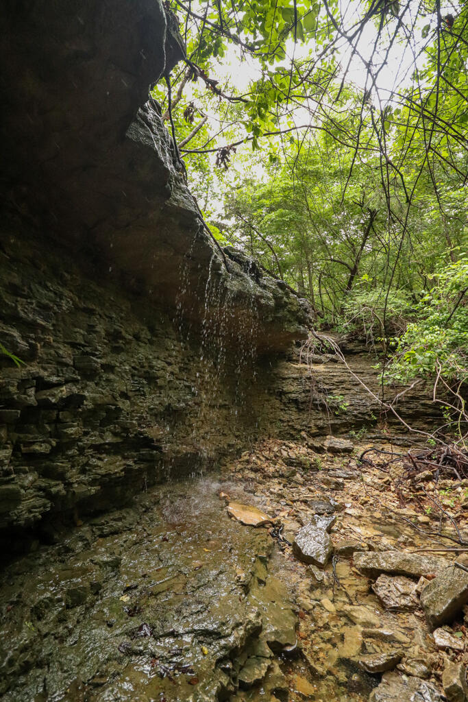 225 Cory's Trail Property Photo 75