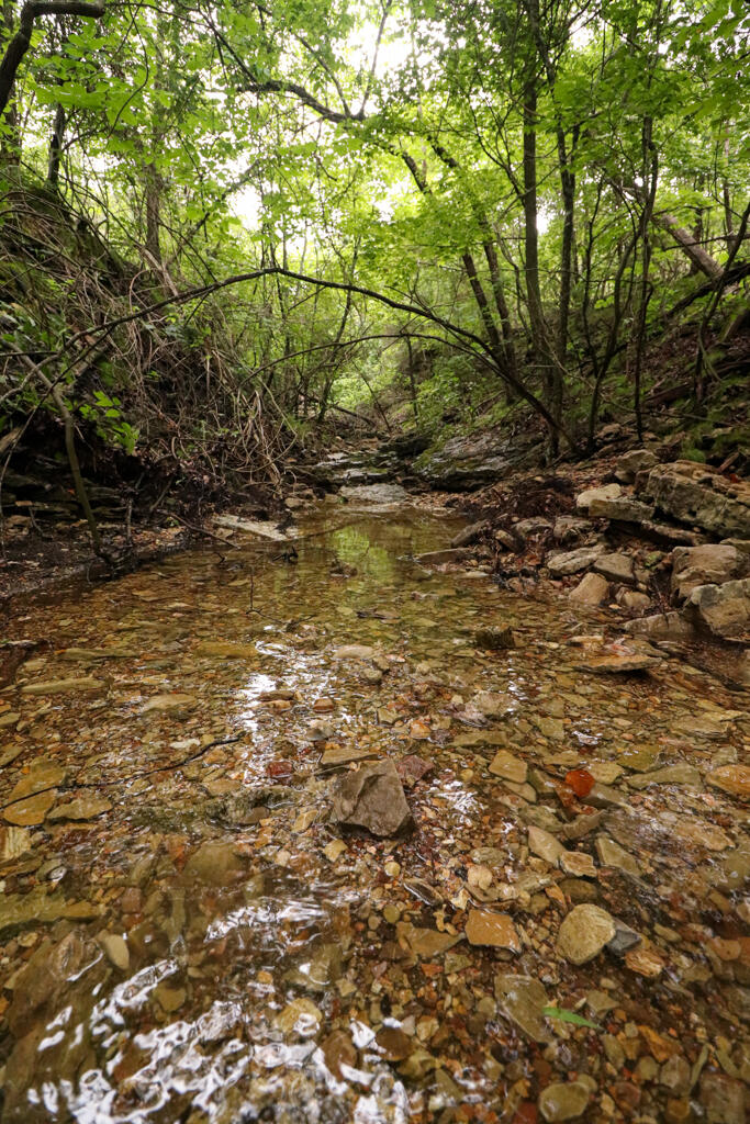 225 Cory's Trail Property Photo 76