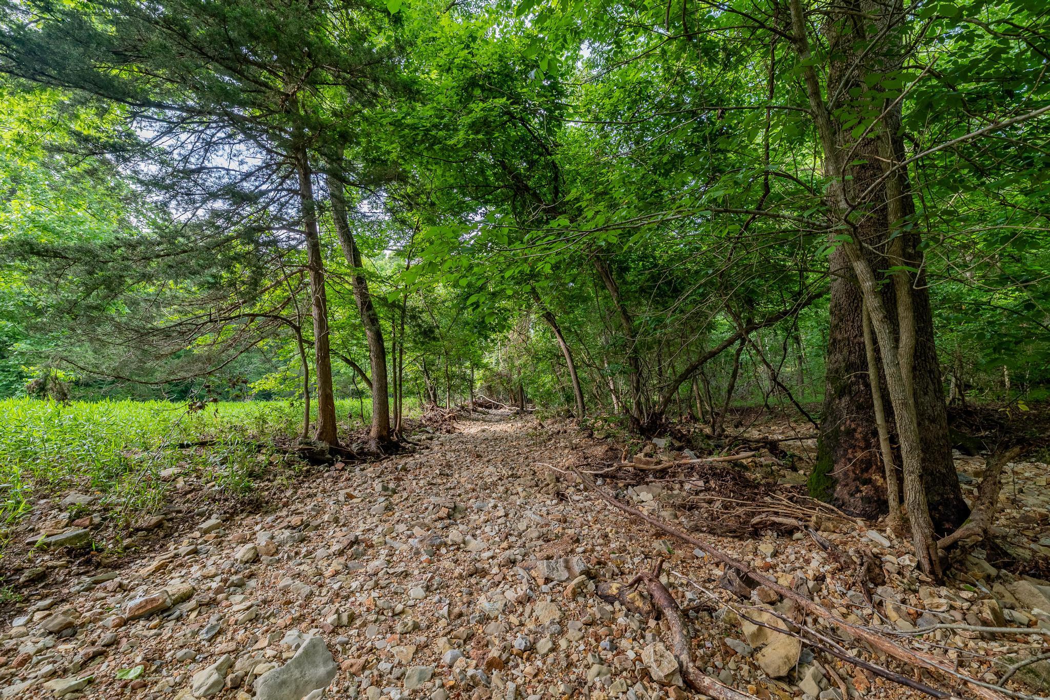 225 Cory's Trail Property Photo 77