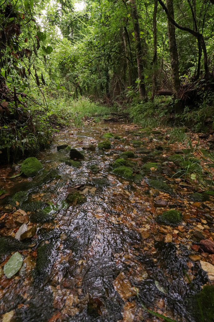 225 Cory's Trail Property Photo 78