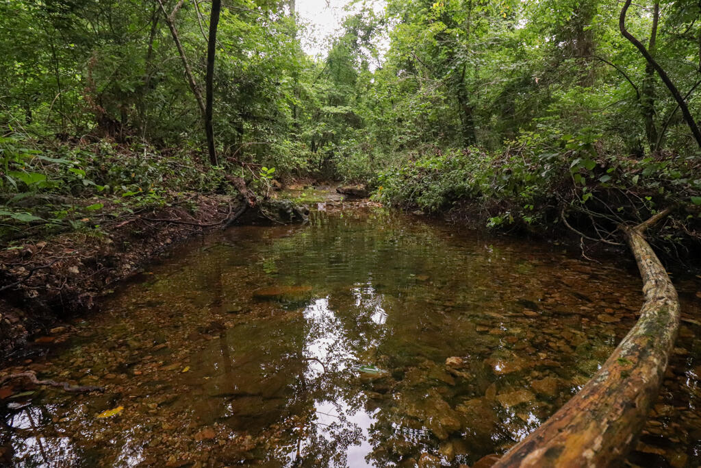 225 Cory's Trail Property Photo 79
