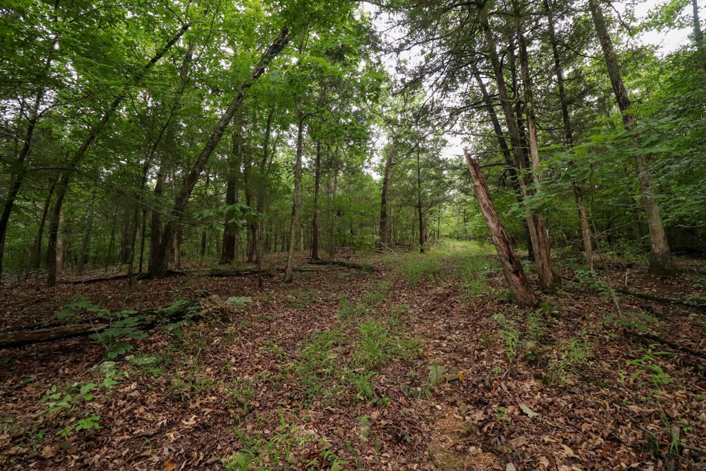 225 Cory's Trail Property Photo 80