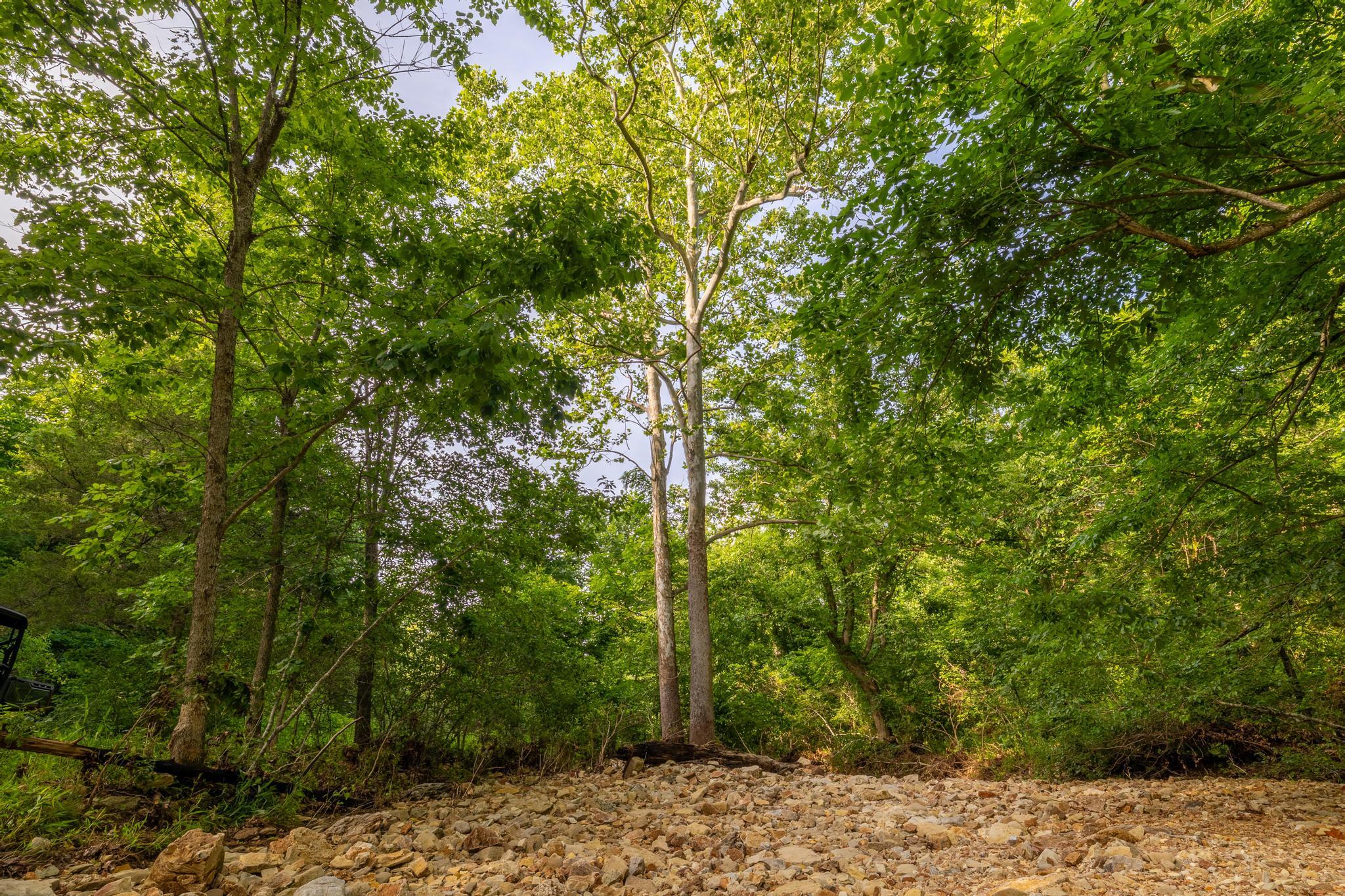 225 Cory's Trail Property Photo 81