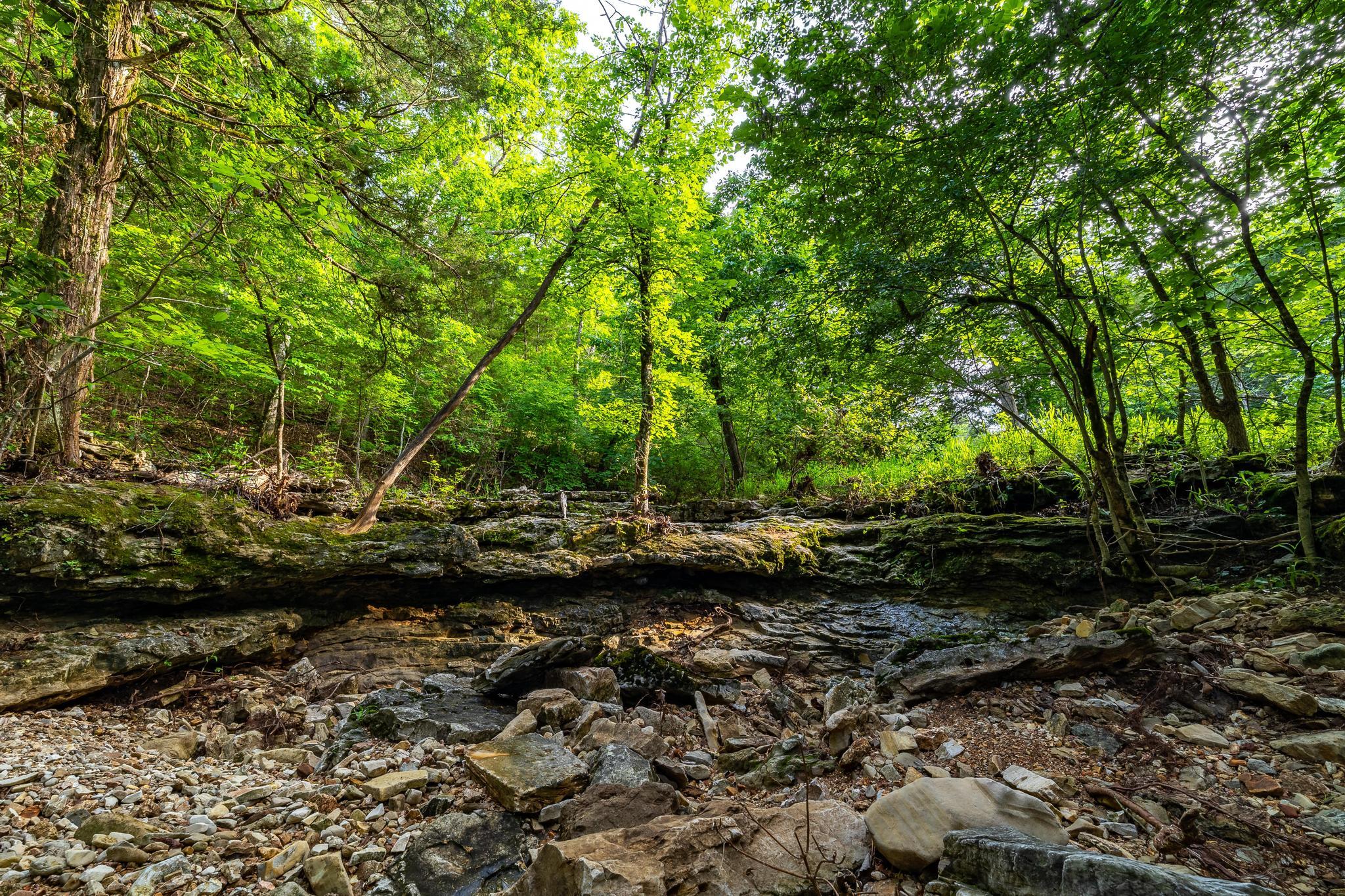 225 Cory's Trail Property Photo 85