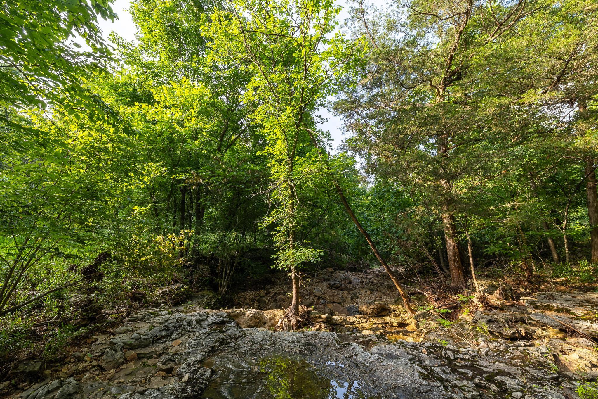 225 Cory's Trail Property Photo 86