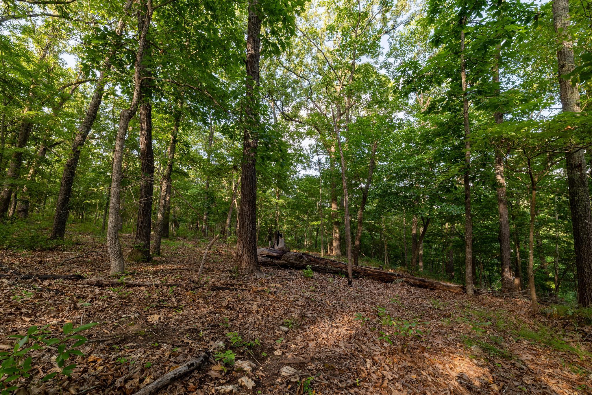 225 Cory's Trail Property Photo 89