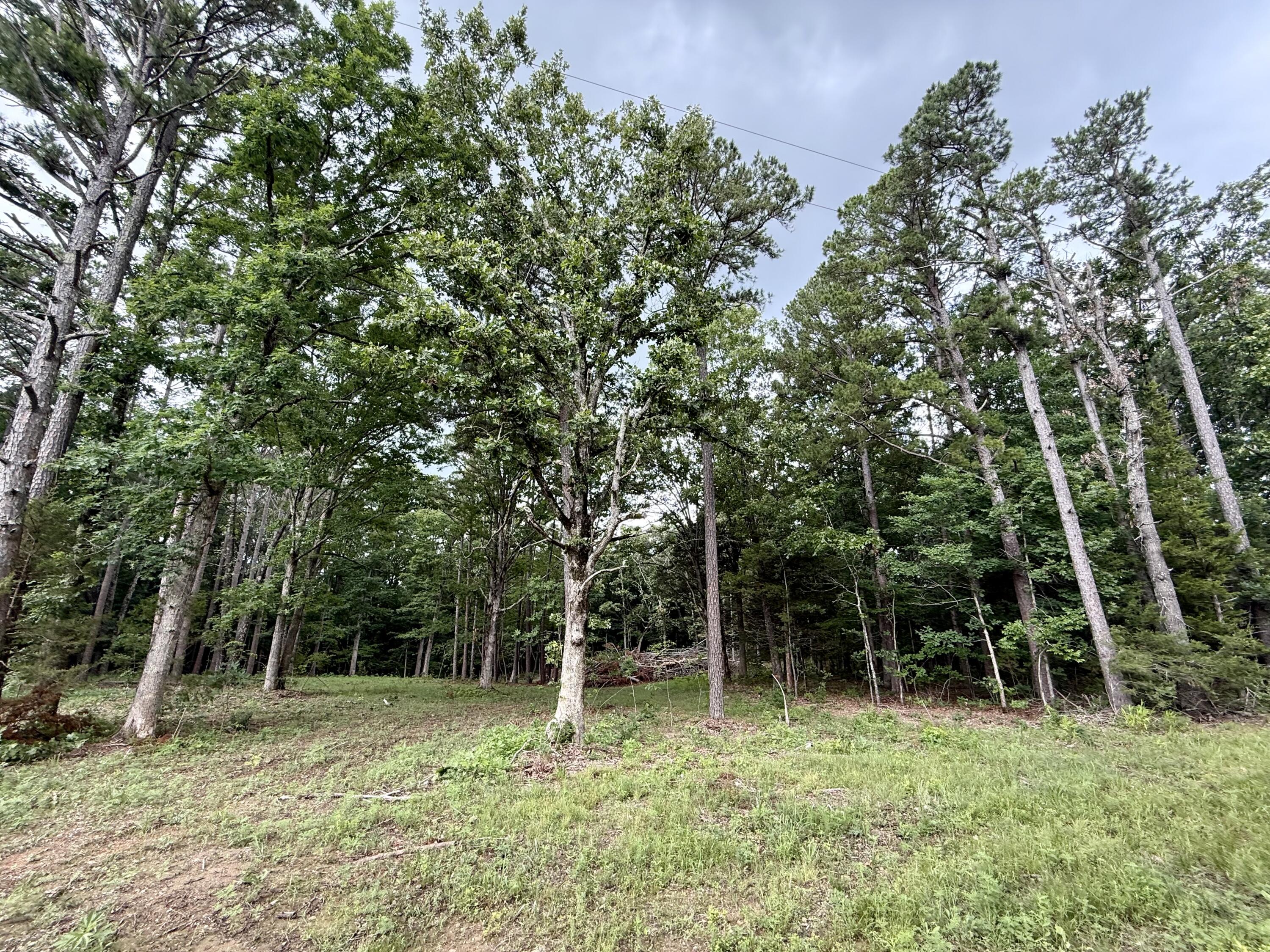 000 West Highway 32 Property Photo 3