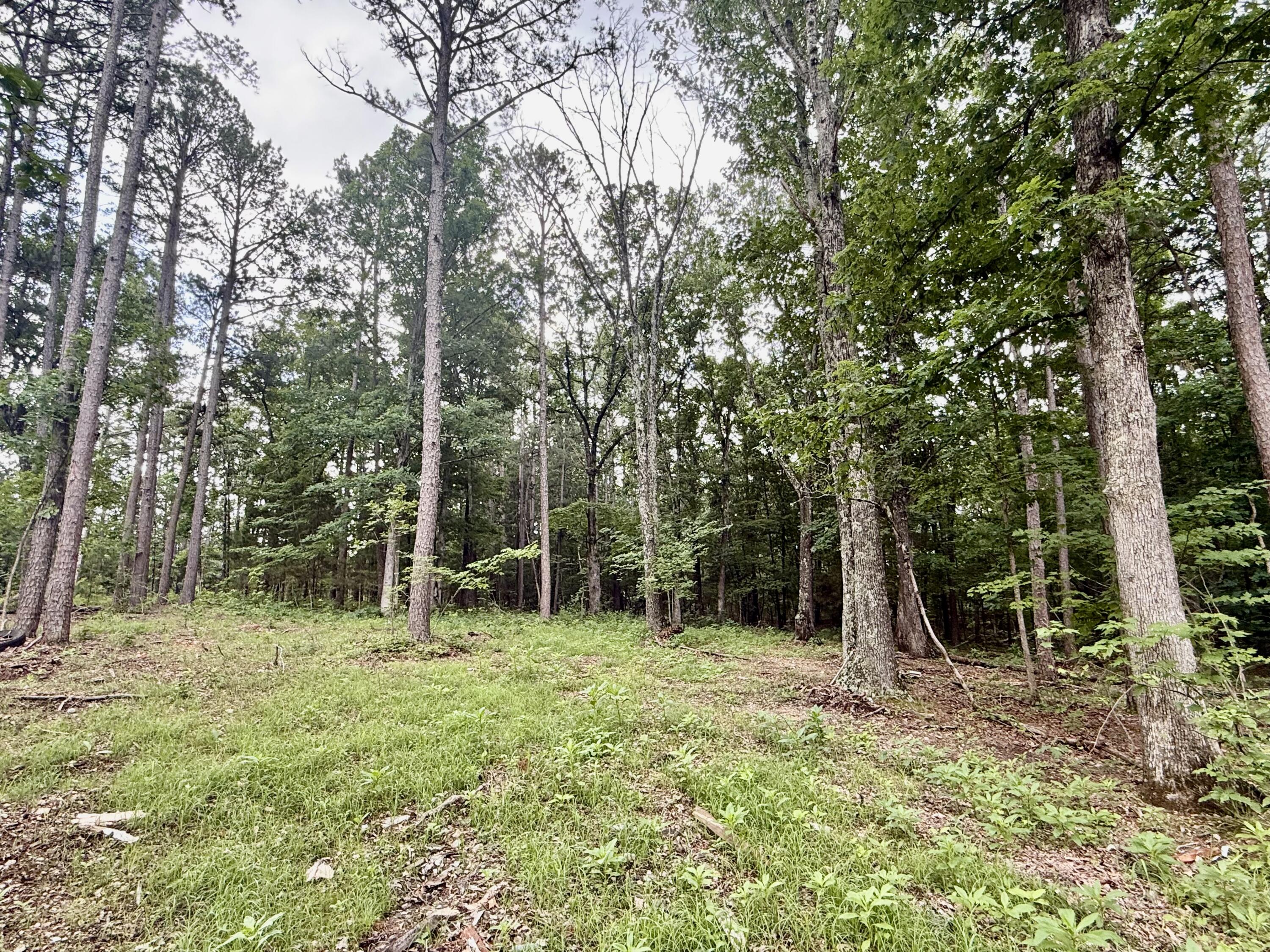 000 West Highway 32 Property Photo 4