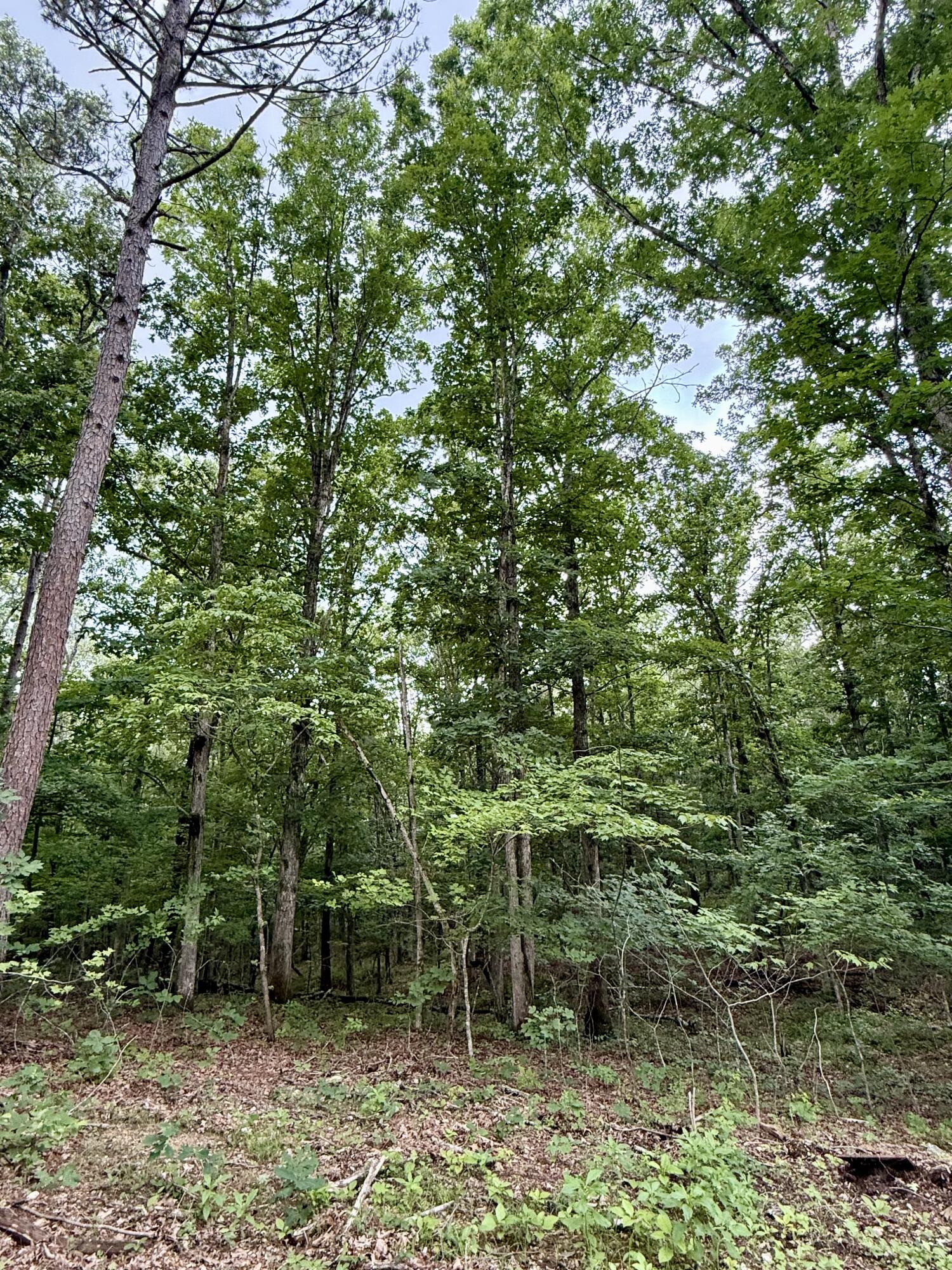 000 West Highway 32 Property Photo 5