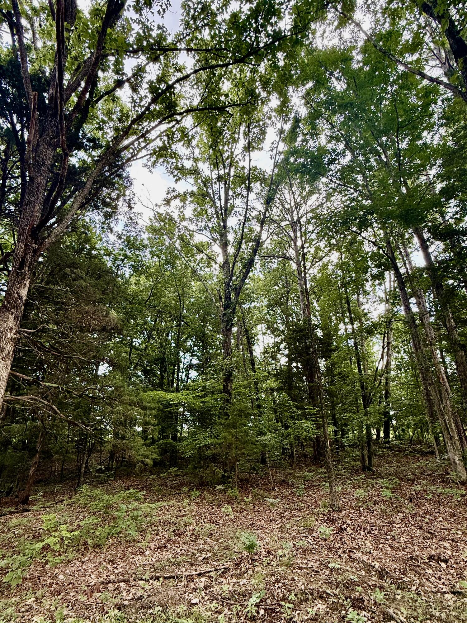000 West Highway 32 Property Photo 8