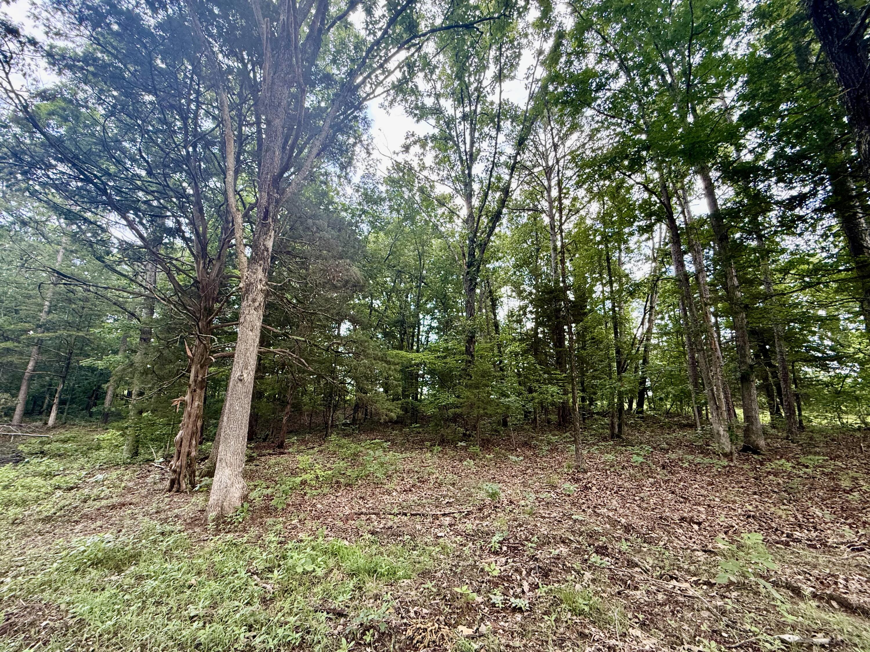 000 West Highway 32 Property Photo 9