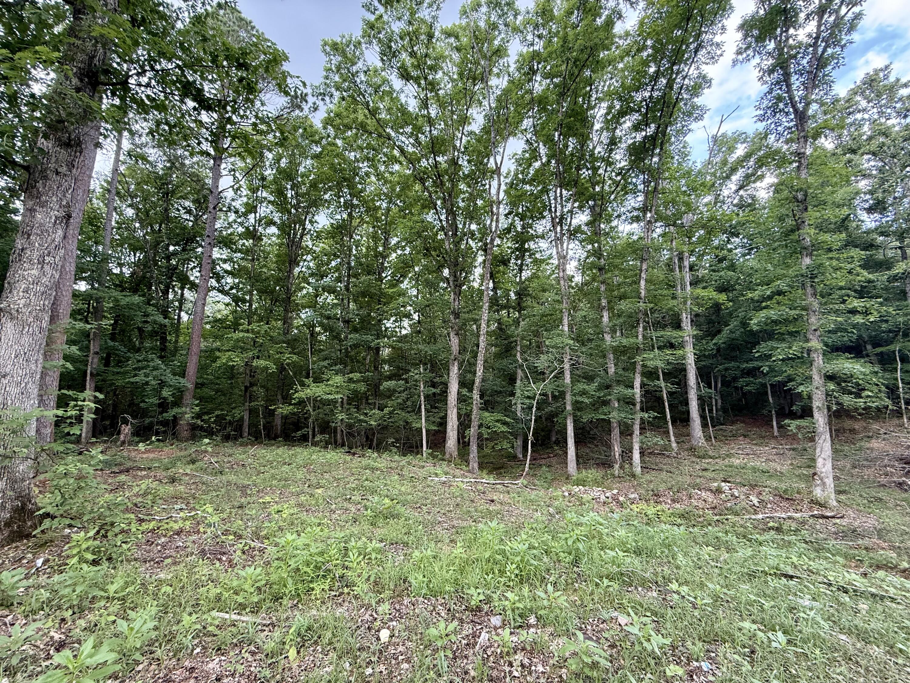 000 West Highway 32 Property Photo 10