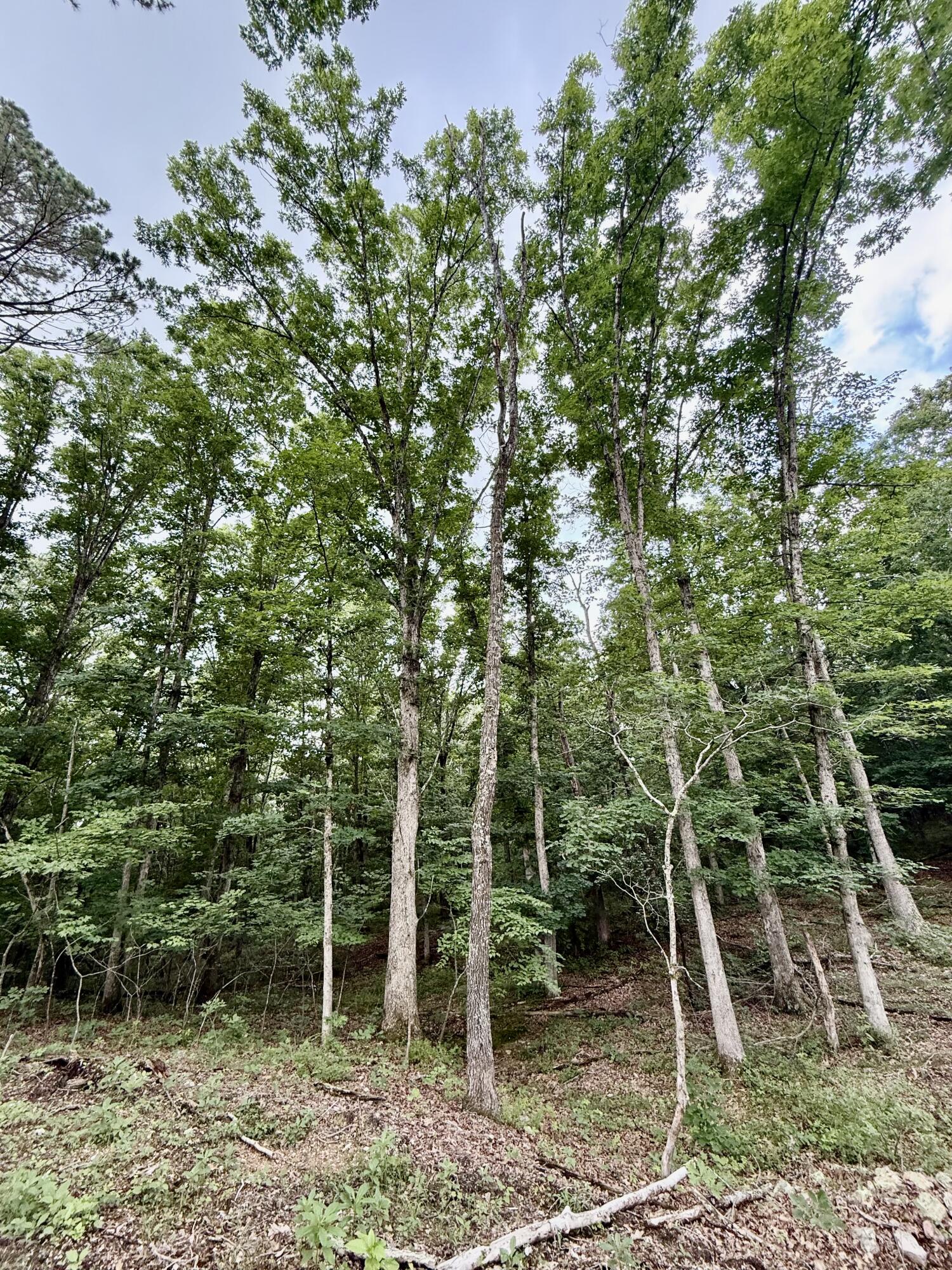 000 West Highway 32 Property Photo 11