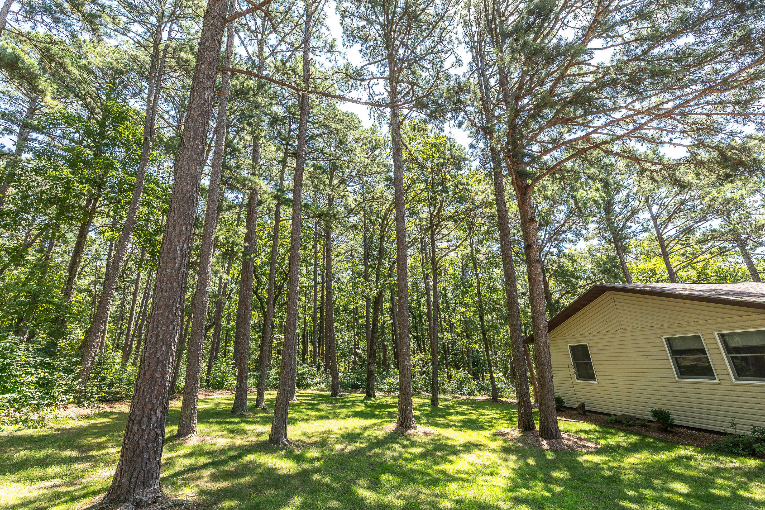 11545 Slaughter Road Property Photo 4