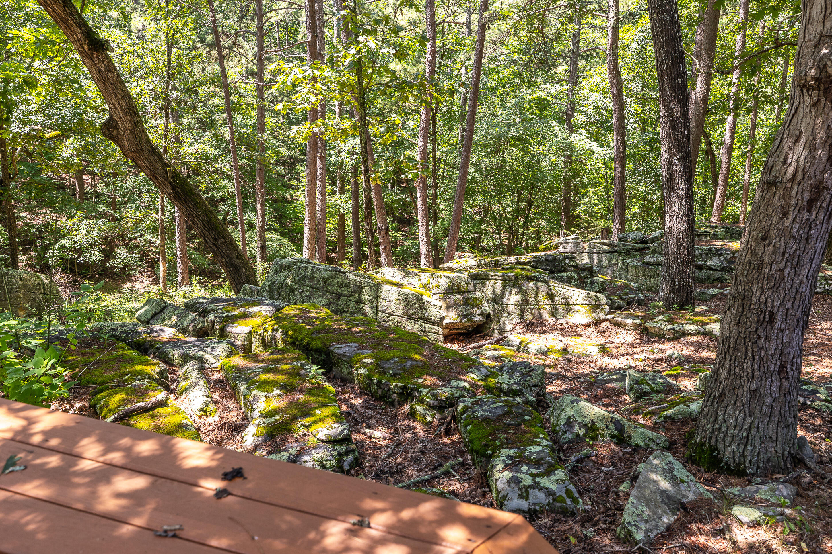 11545 Slaughter Road Property Photo 12