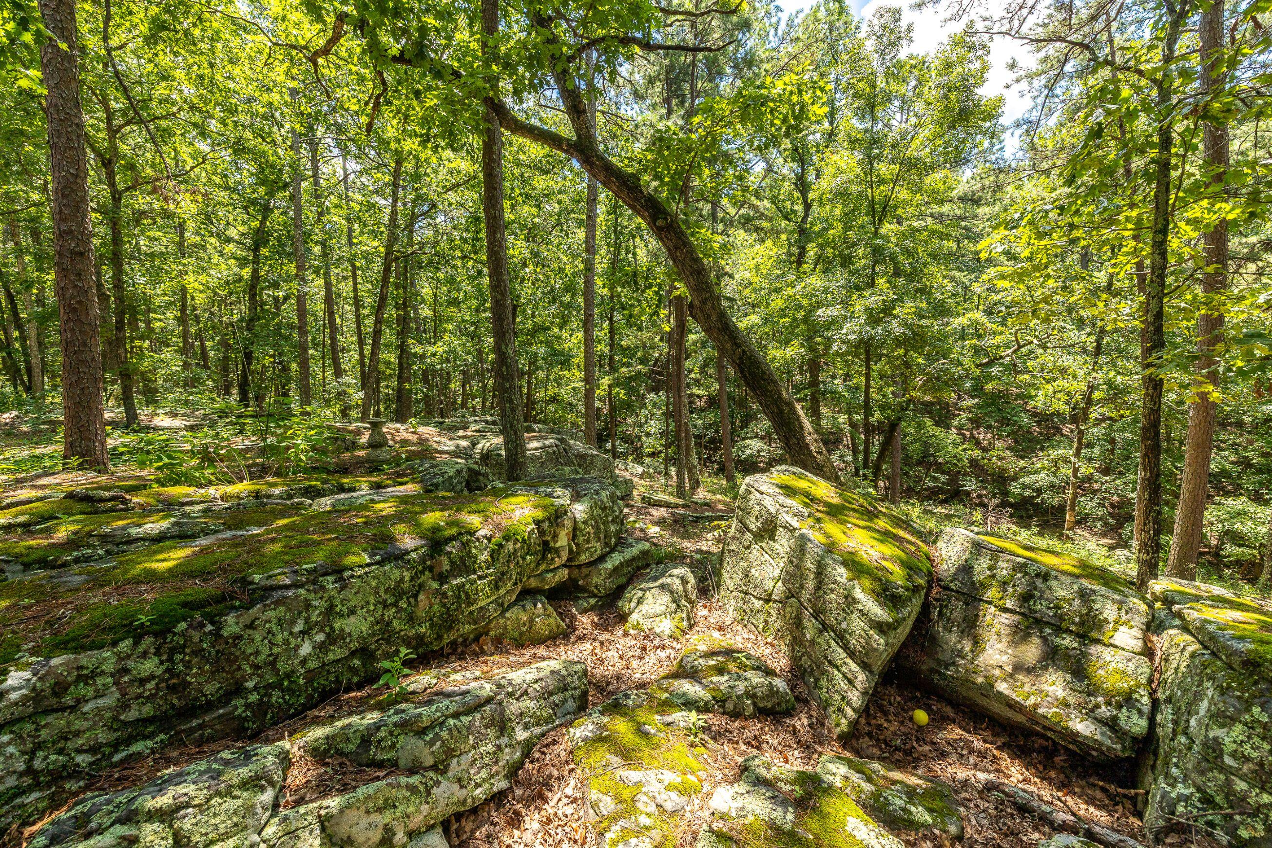 11545 Slaughter Road Property Photo 13