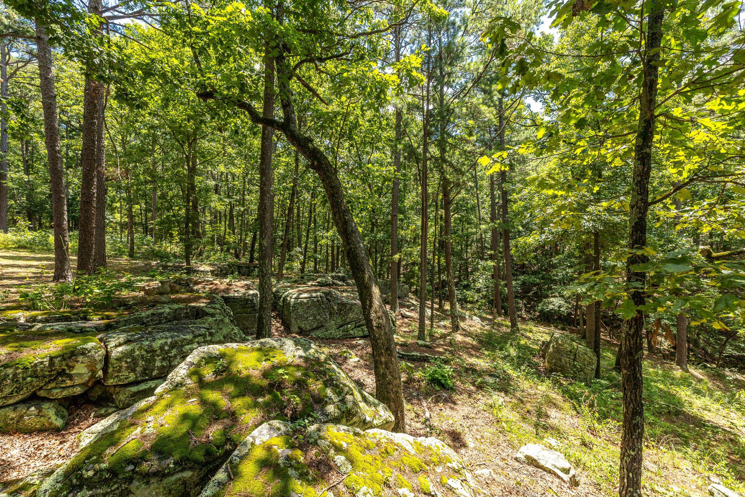 11545 Slaughter Road Property Photo 14