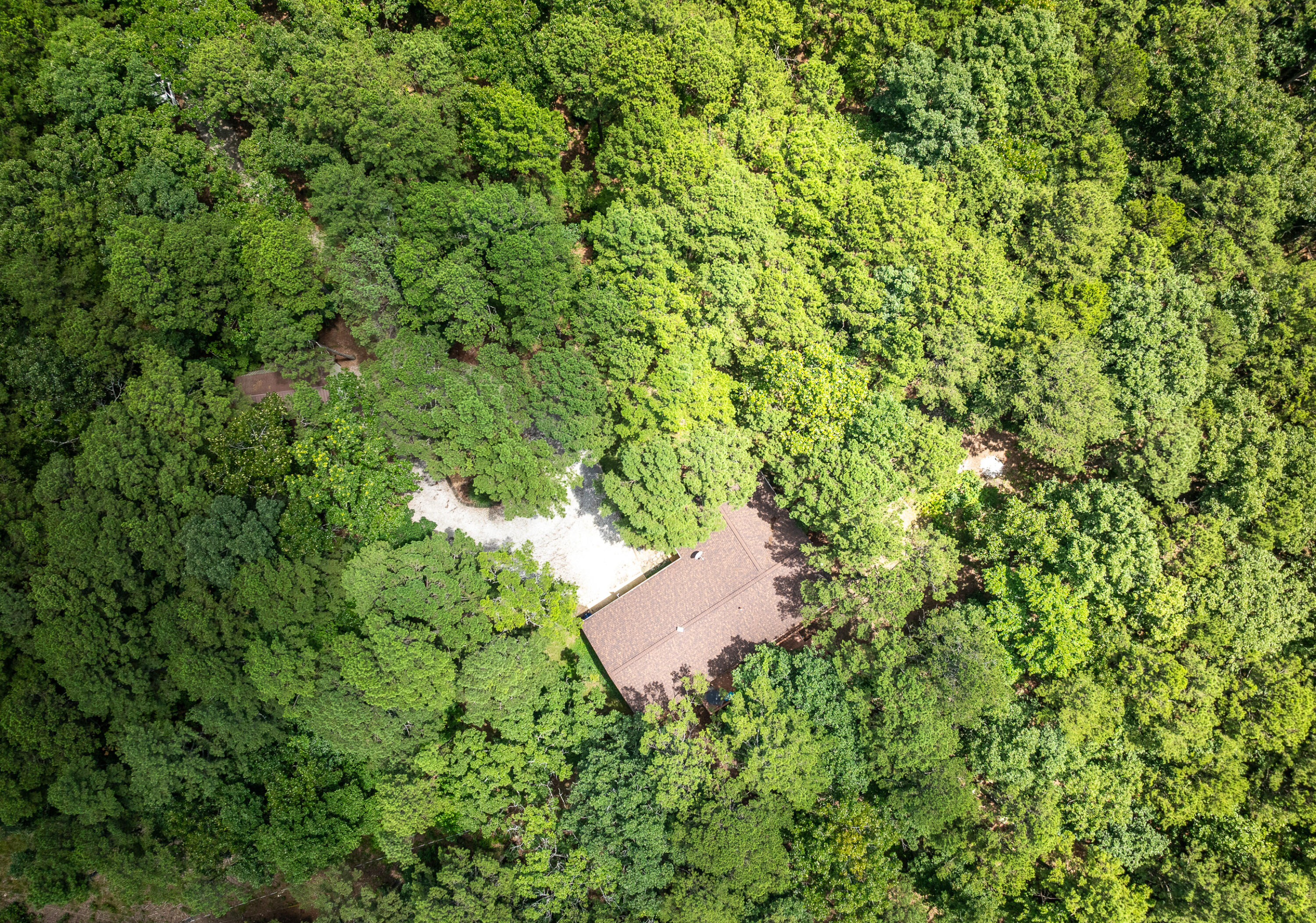 11545 Slaughter Road Property Photo 45