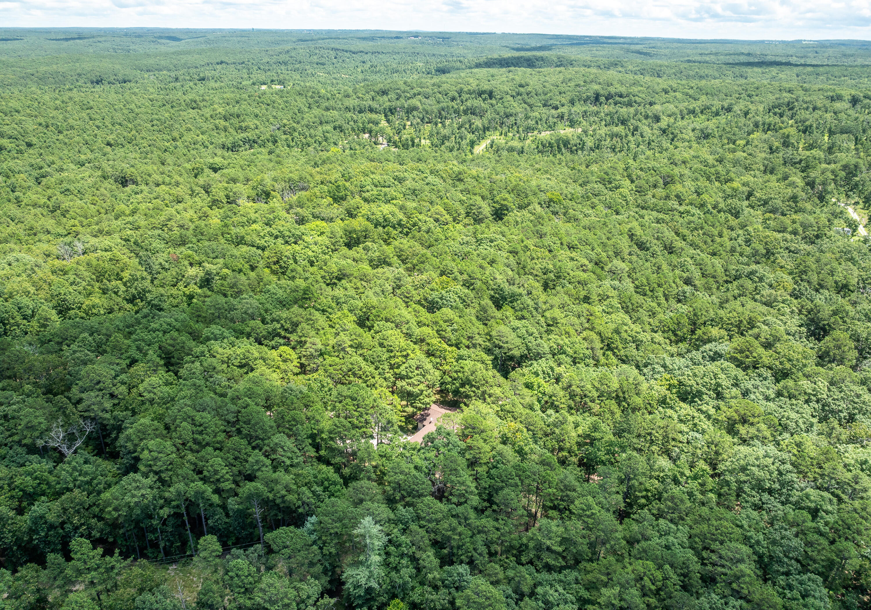 11545 Slaughter Road Property Photo 46
