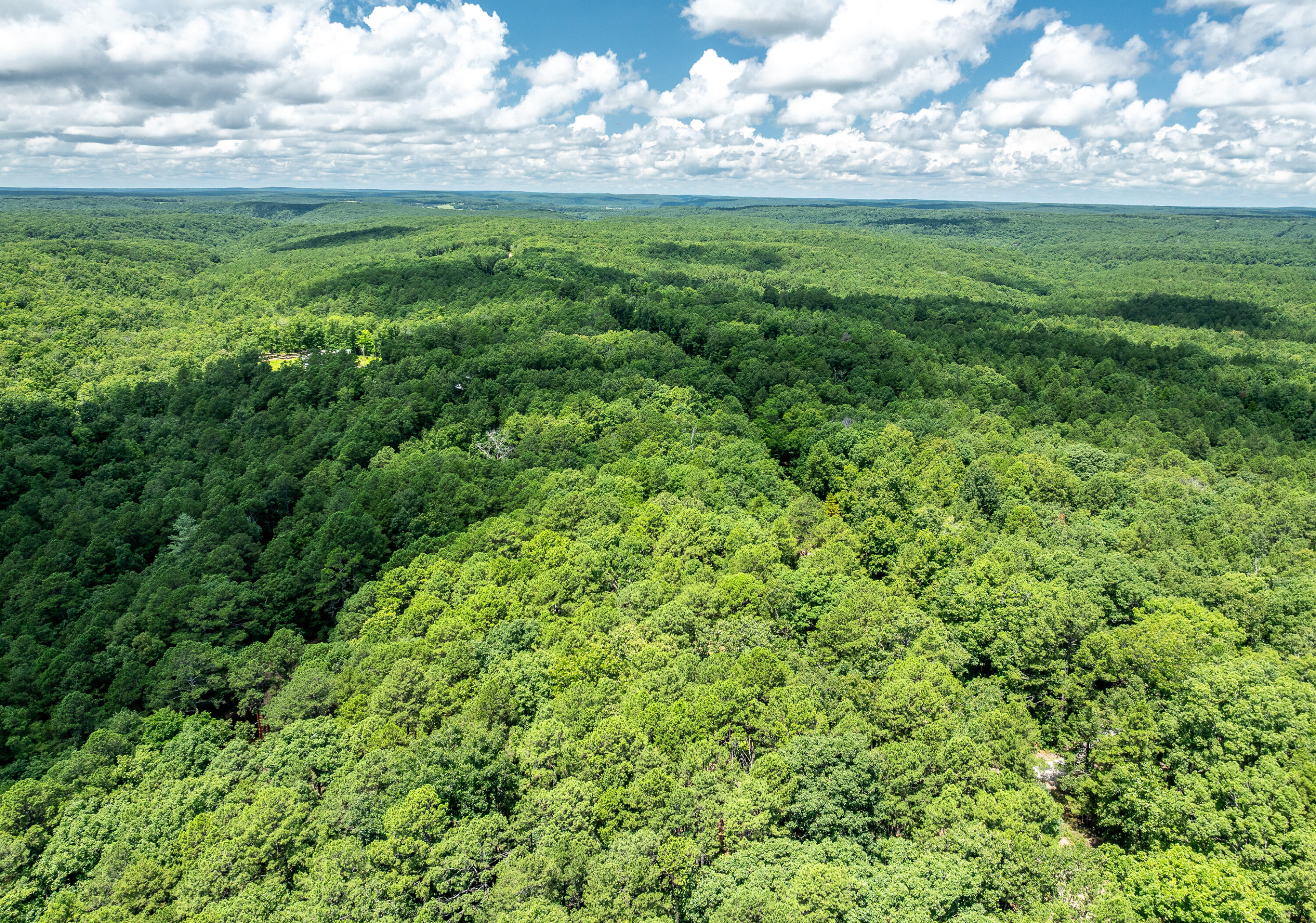 11545 Slaughter Road Property Photo 48
