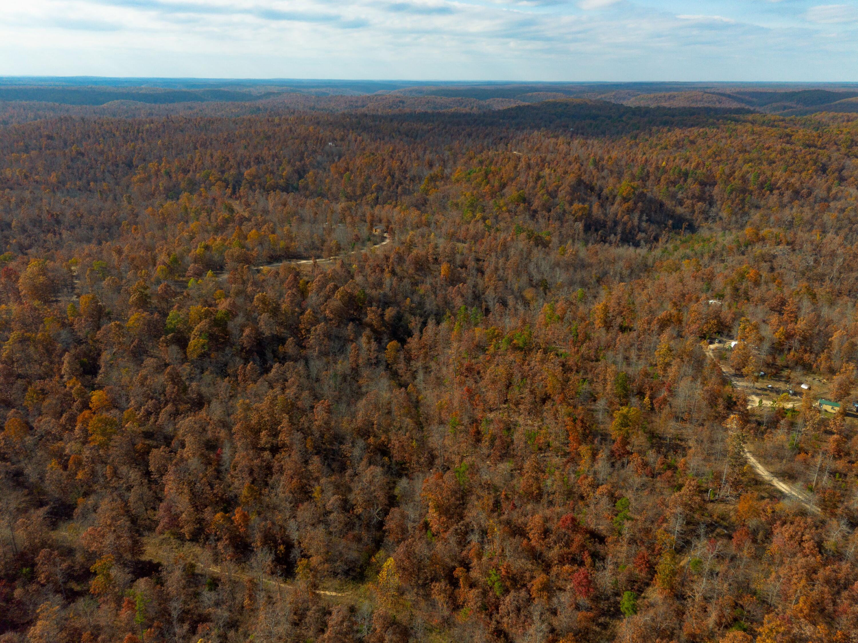 15682 Winding Trail Property Photo 1