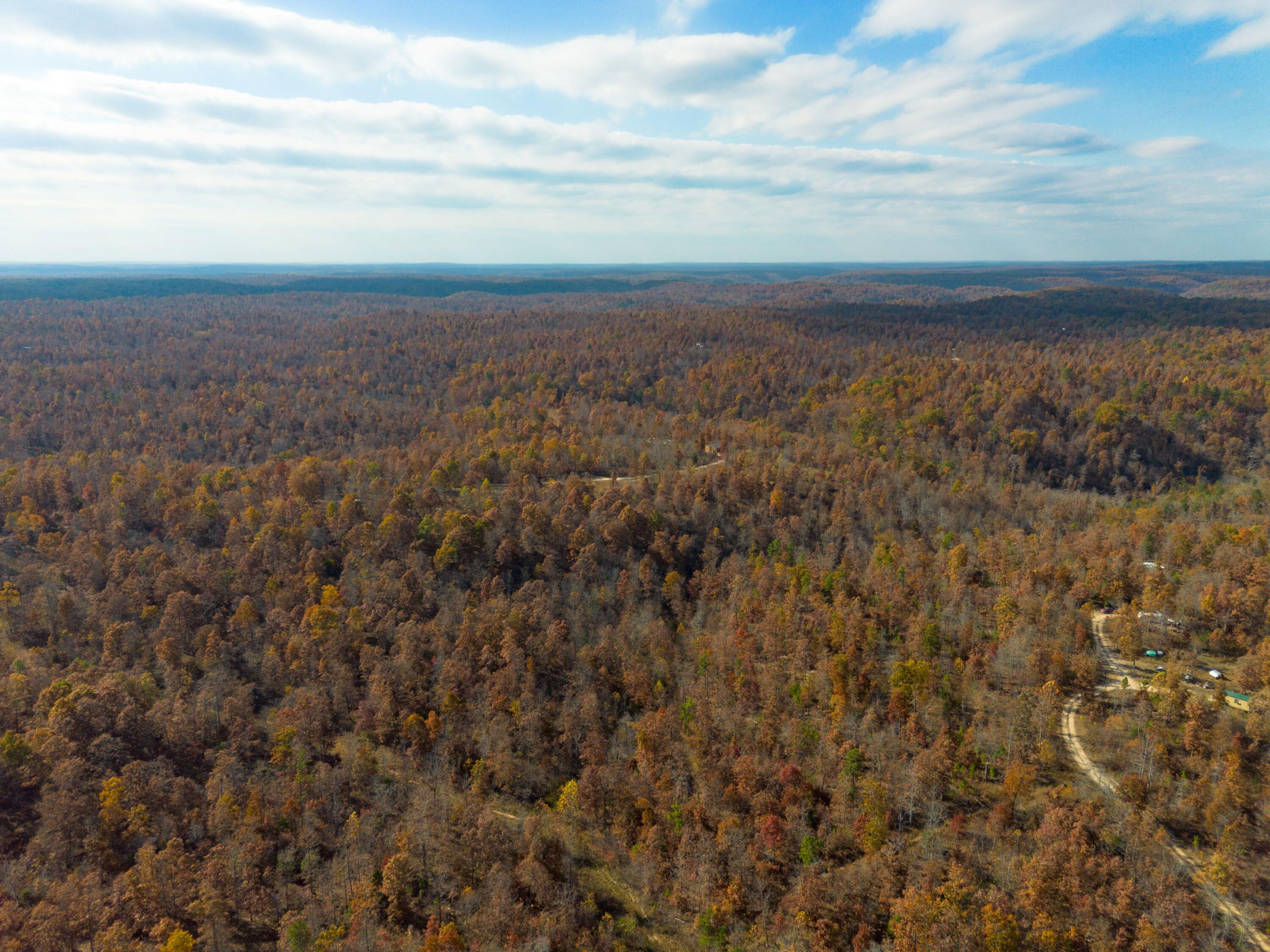 15682 Winding Trail Property Photo 2