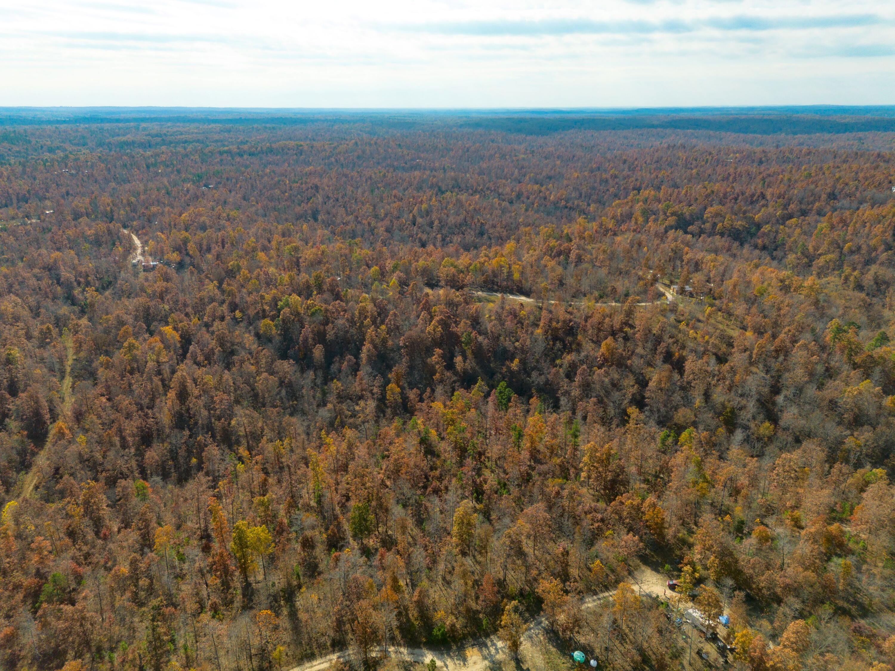 15682 Winding Trail Property Photo 3