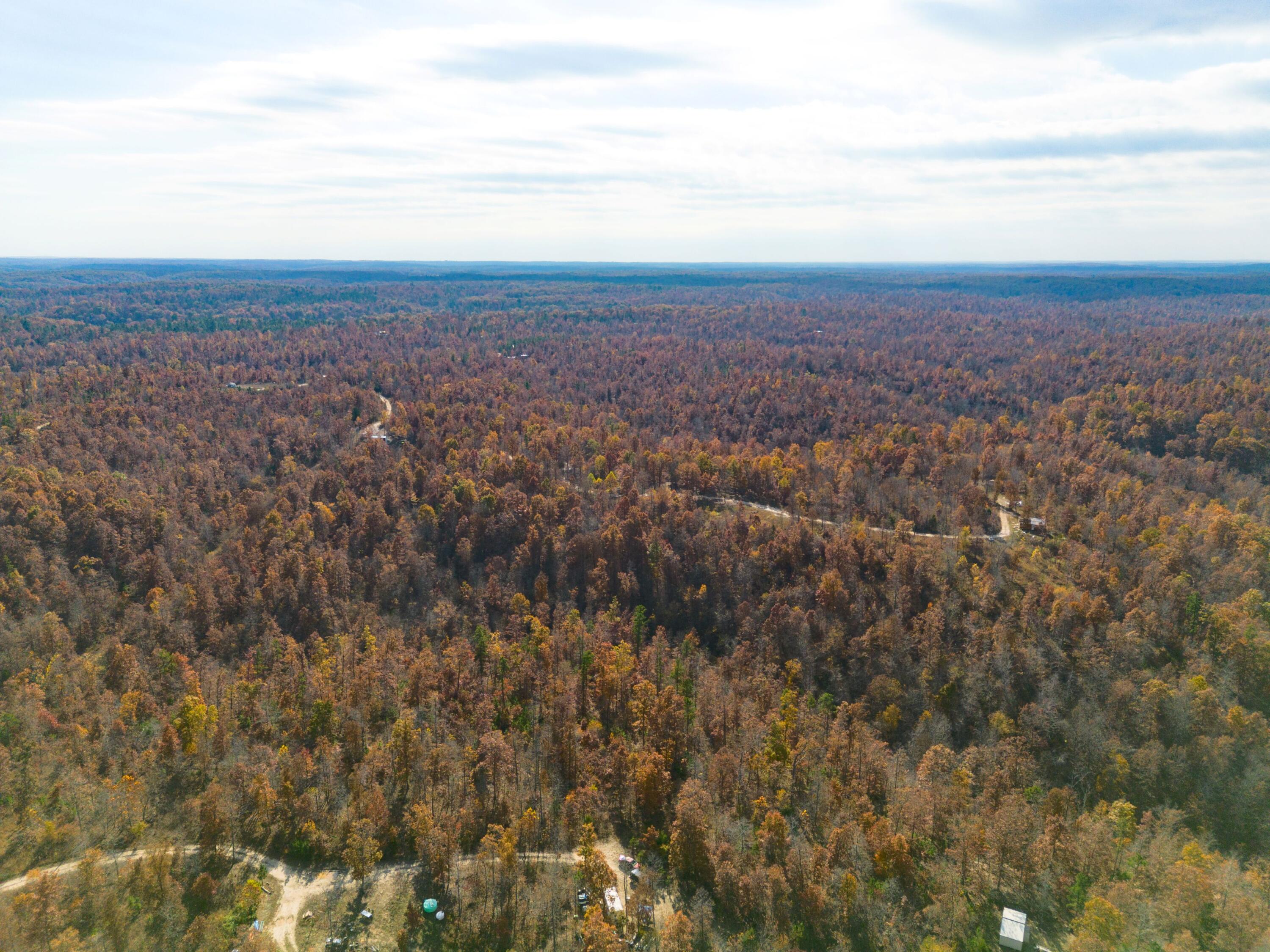 15682 Winding Trail Property Photo 4