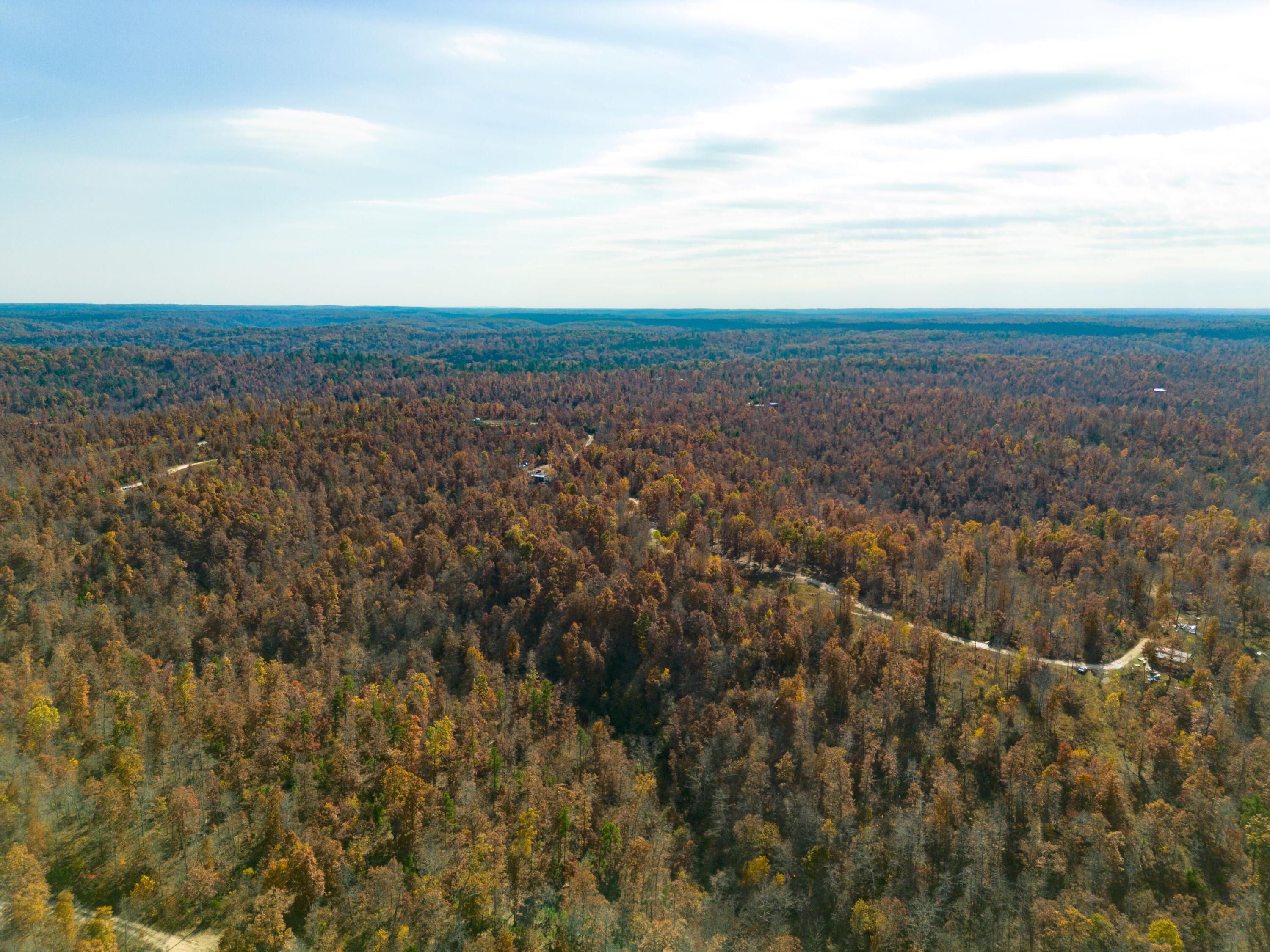 15682 Winding Trail Property Photo 5