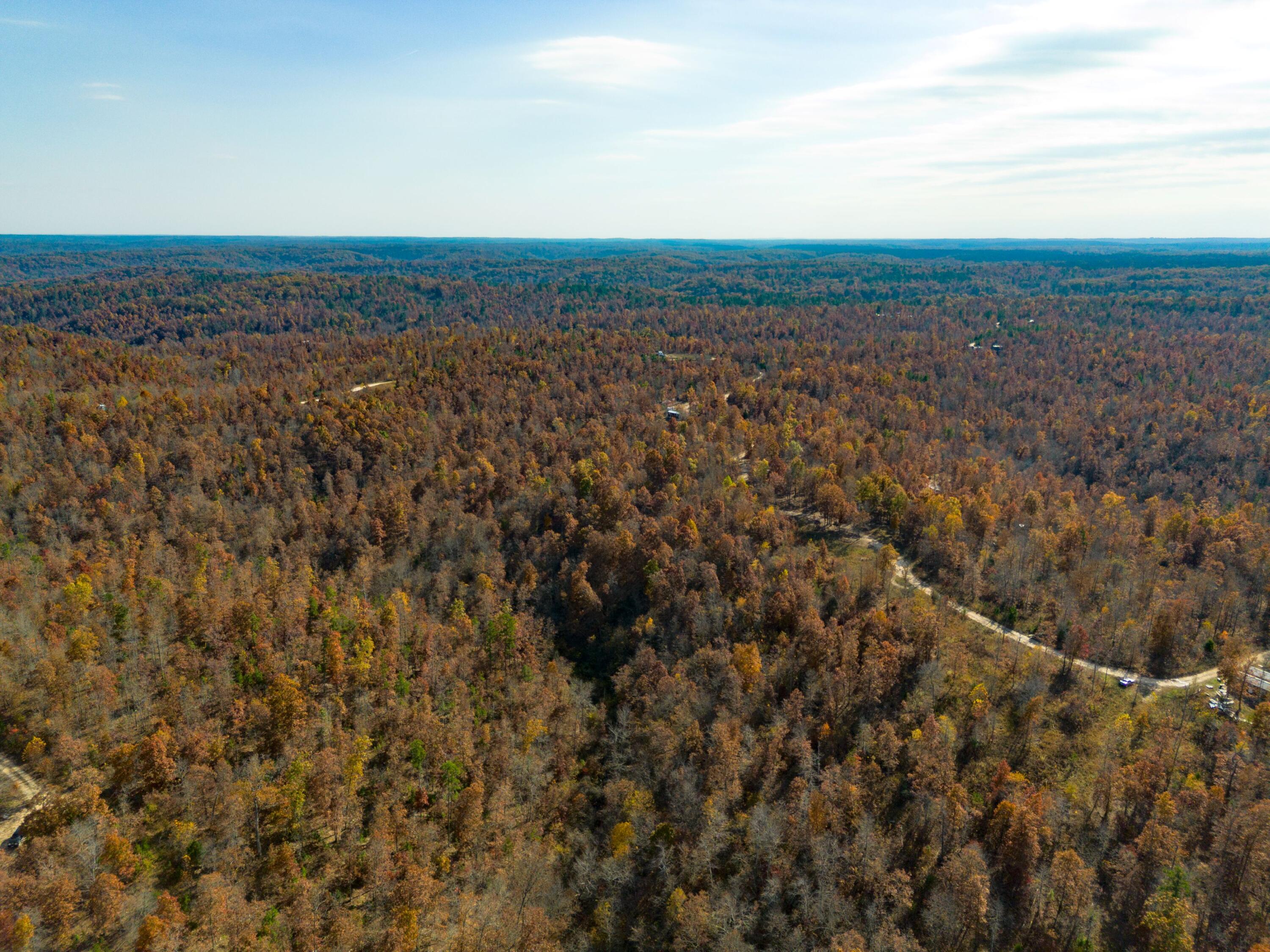 15682 Winding Trail Property Photo 6