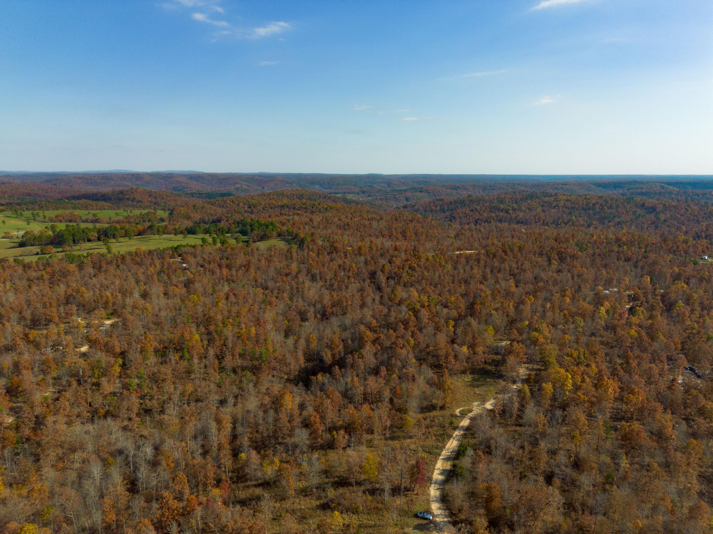 15682 Winding Trail Property Photo 9