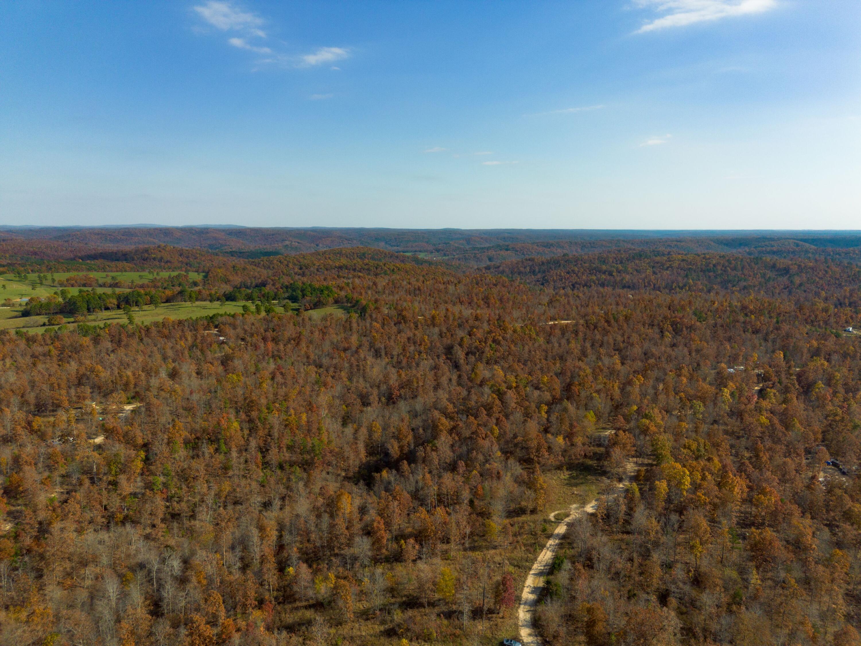 15682 Winding Trail Property Photo 10