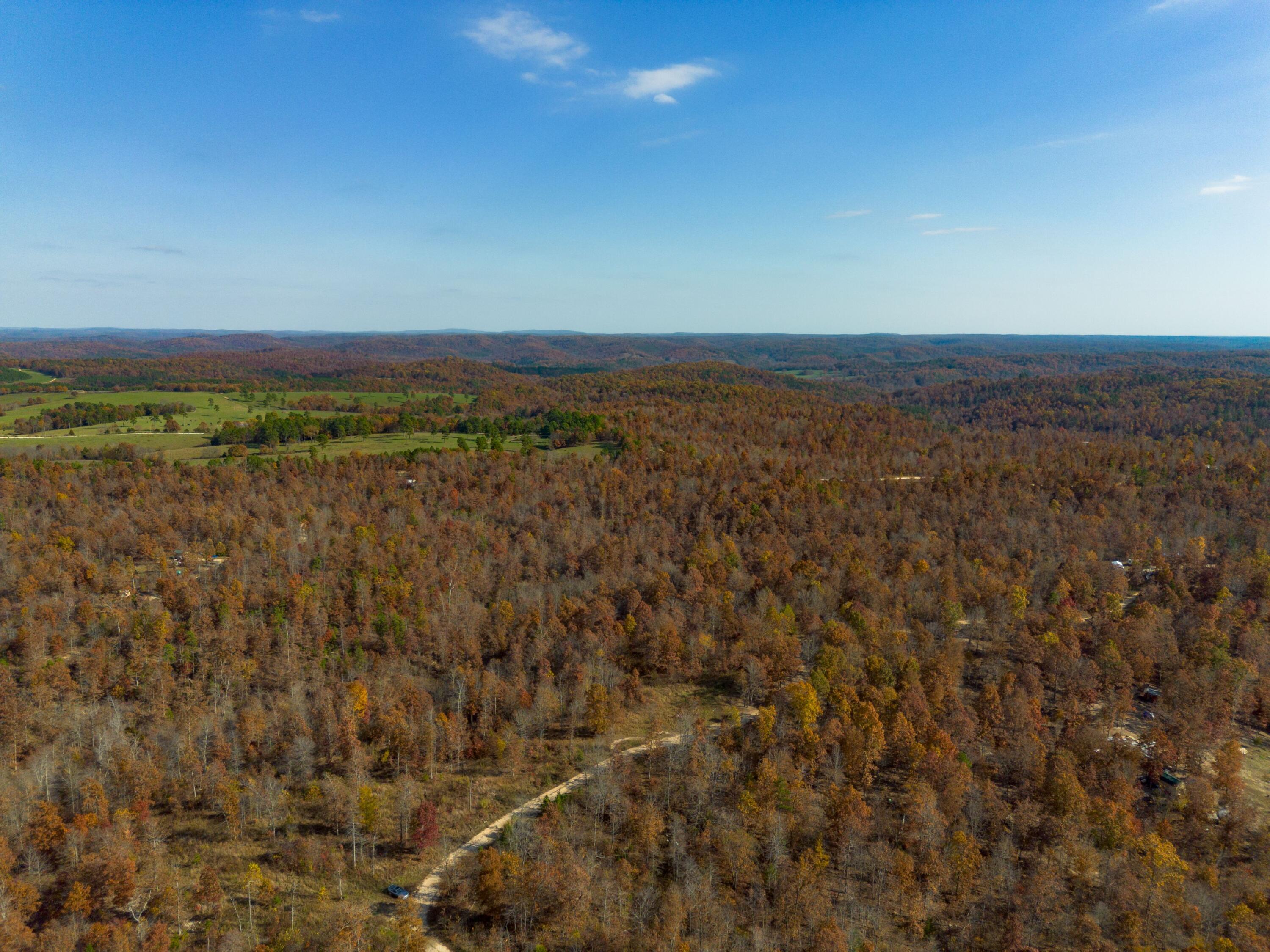 15682 Winding Trail Property Photo 11