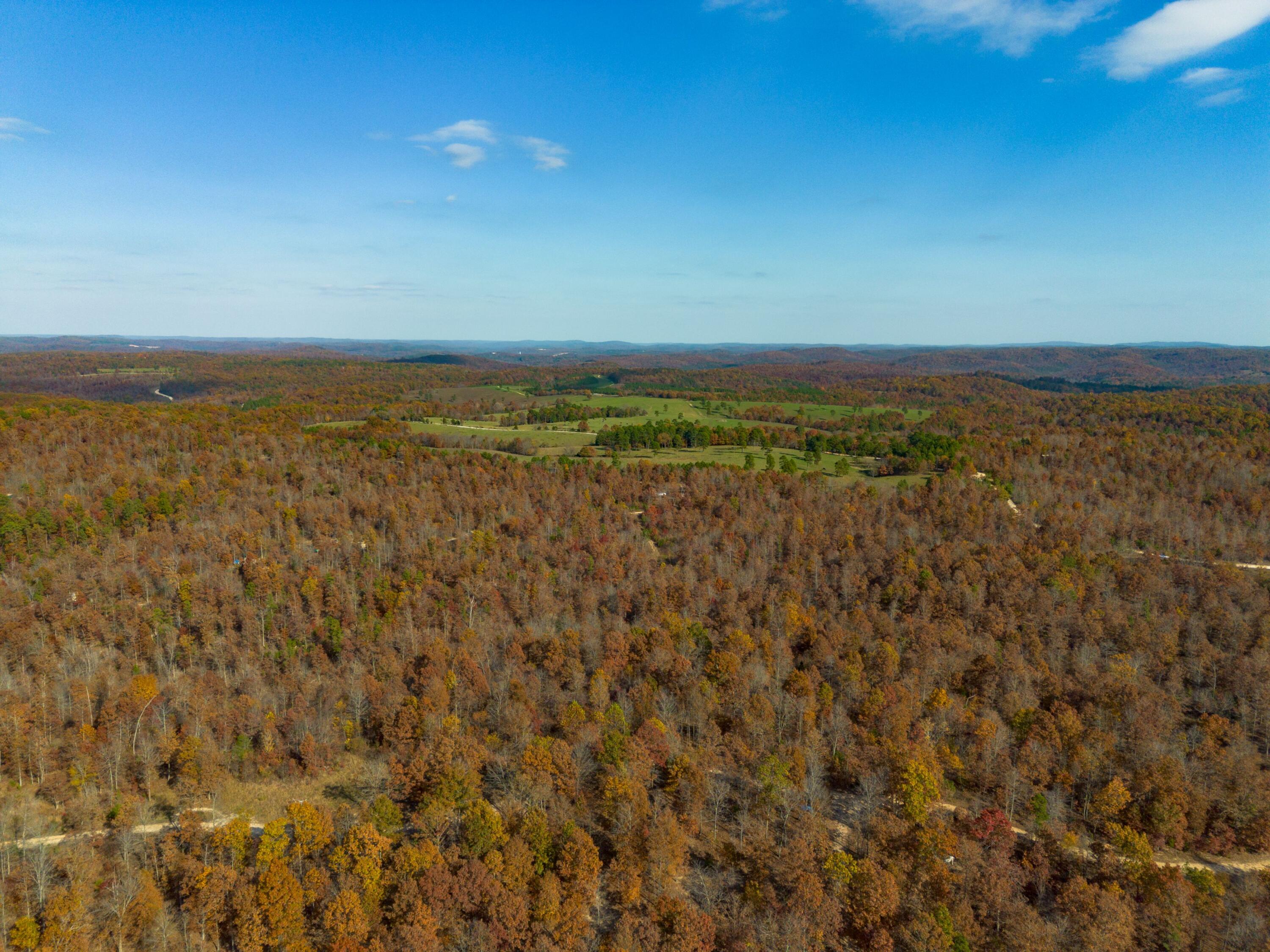 15682 Winding Trail Property Photo 14