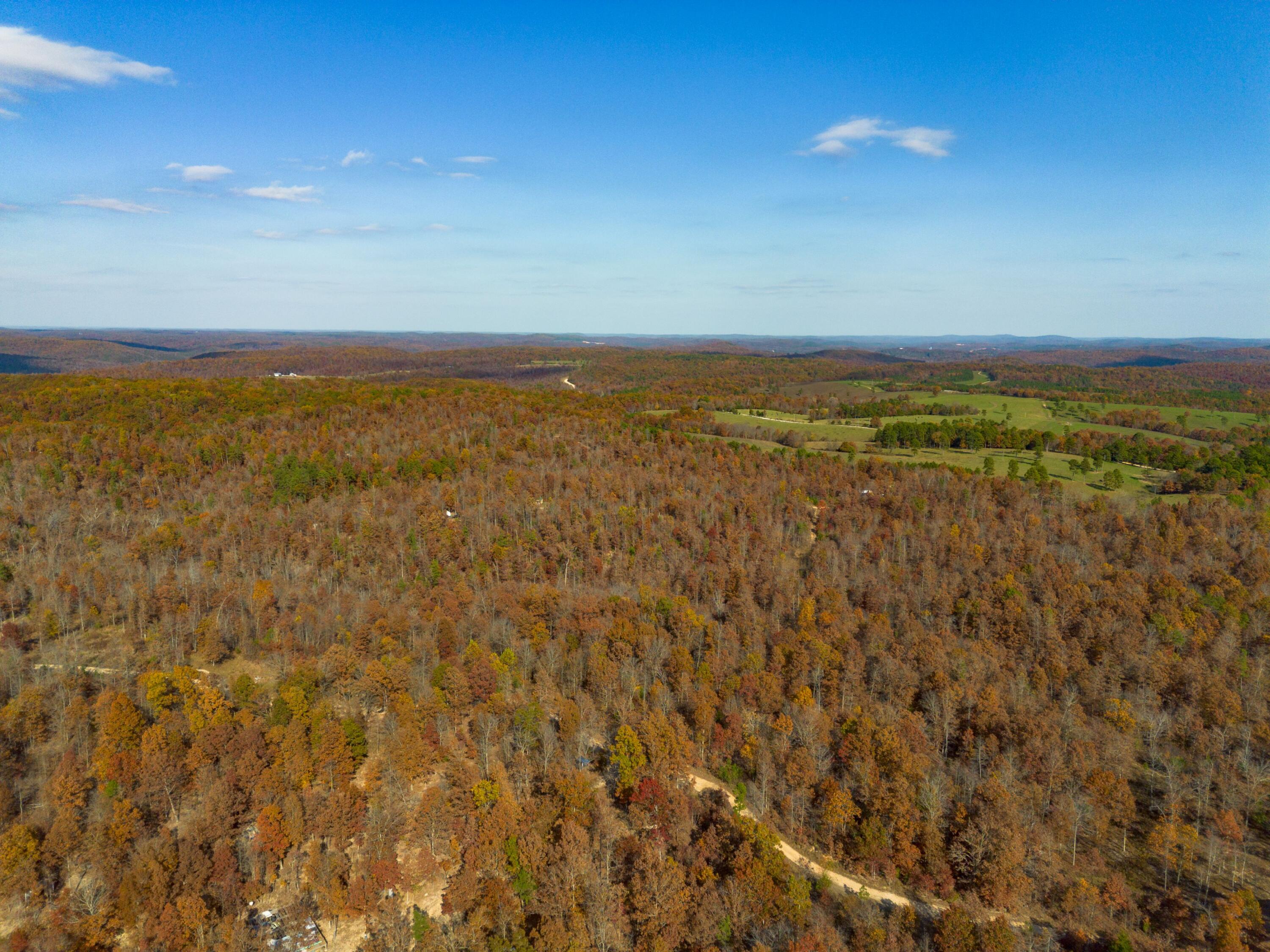 15682 Winding Trail Property Photo 15