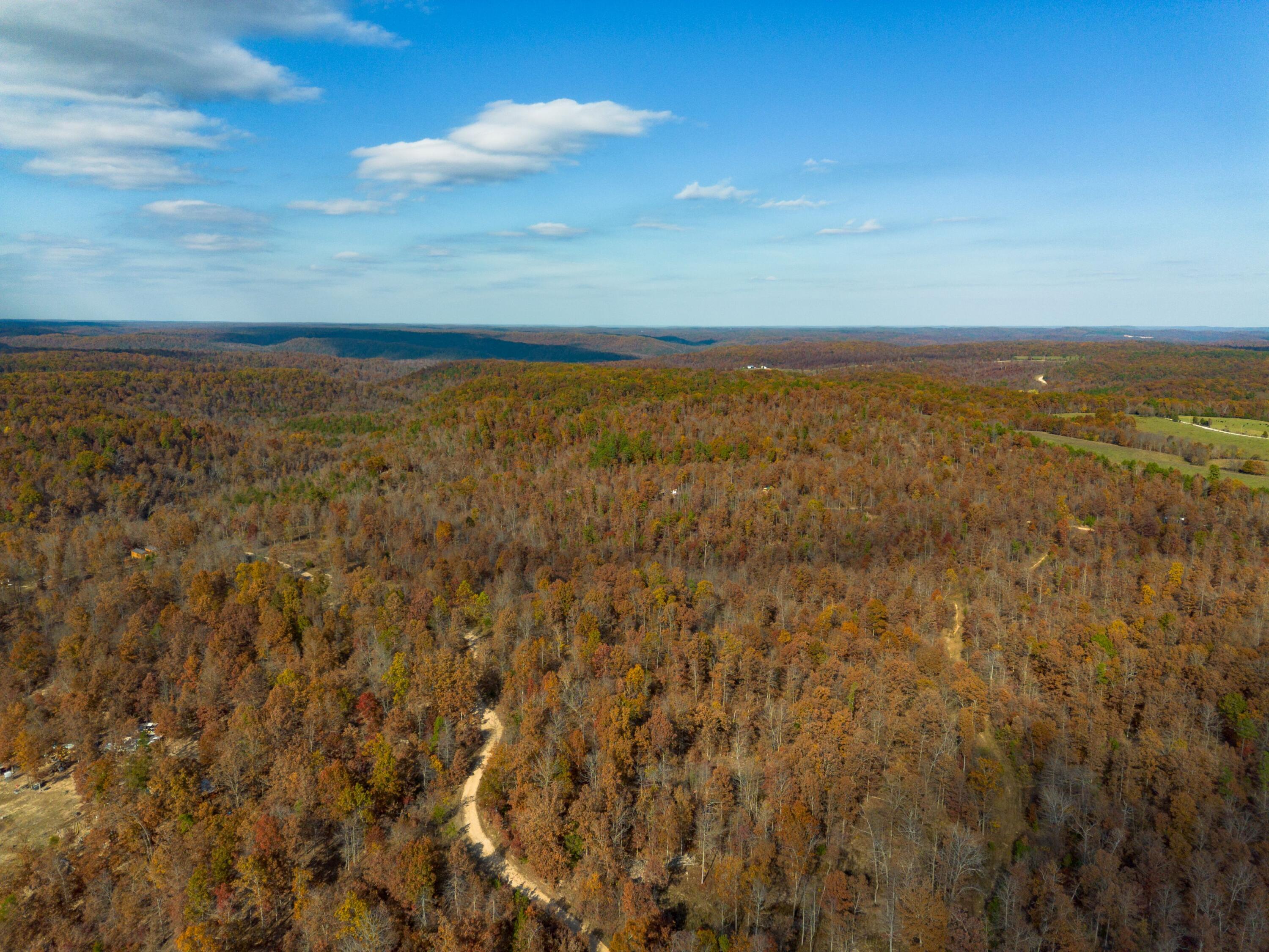 15682 Winding Trail Property Photo 16