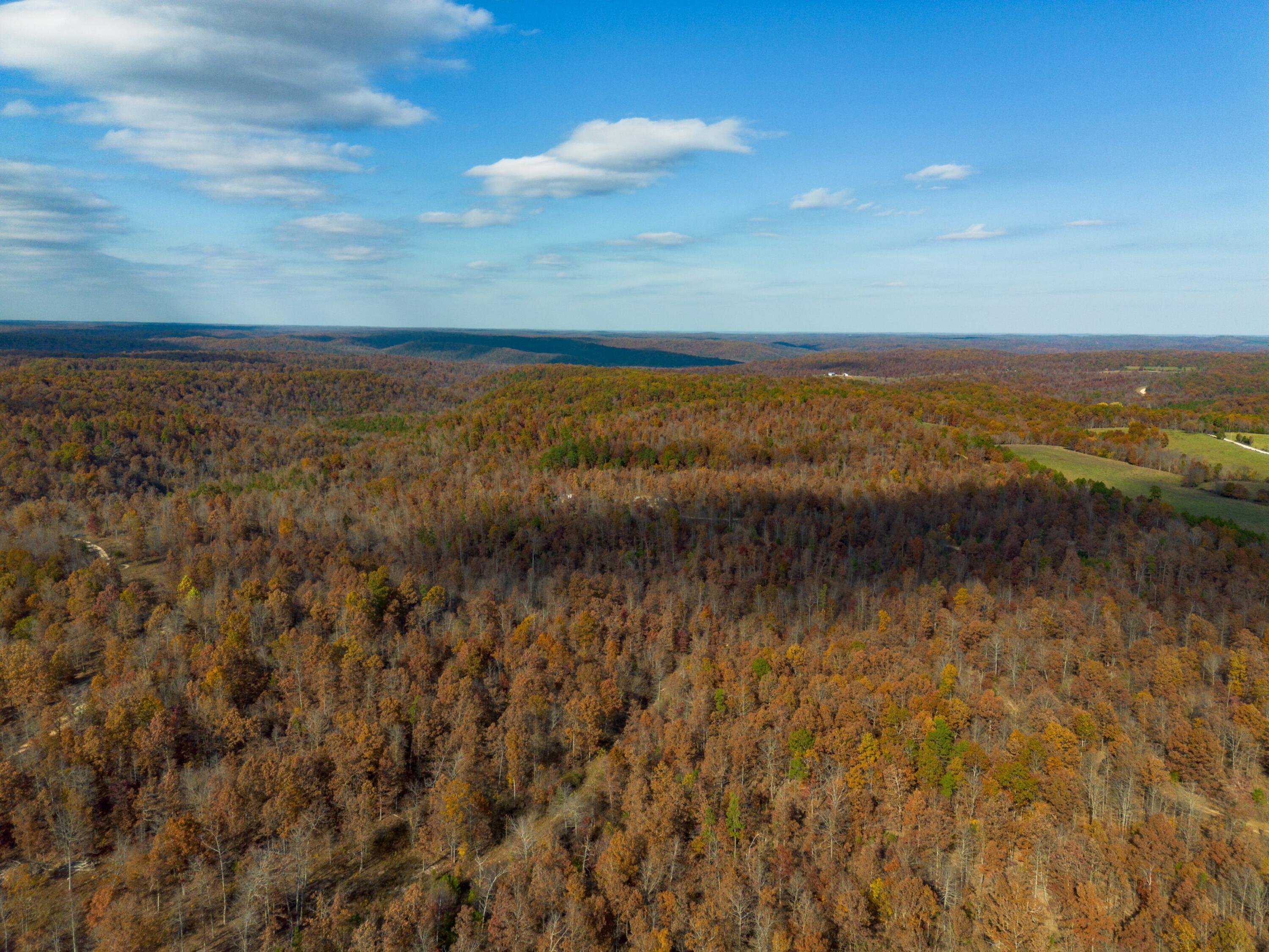 15682 Winding Trail Property Photo 17