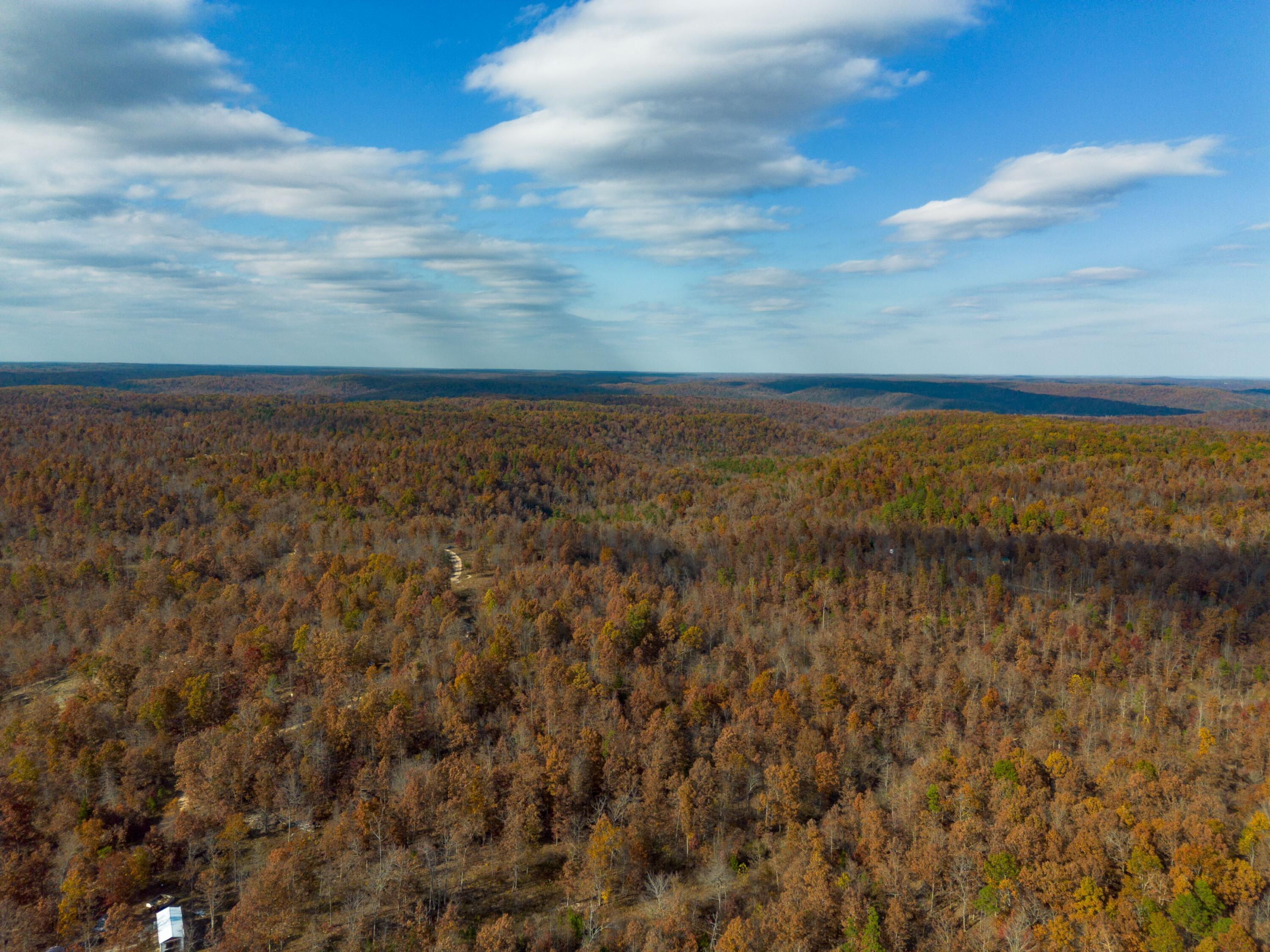 15682 Winding Trail Property Photo 18